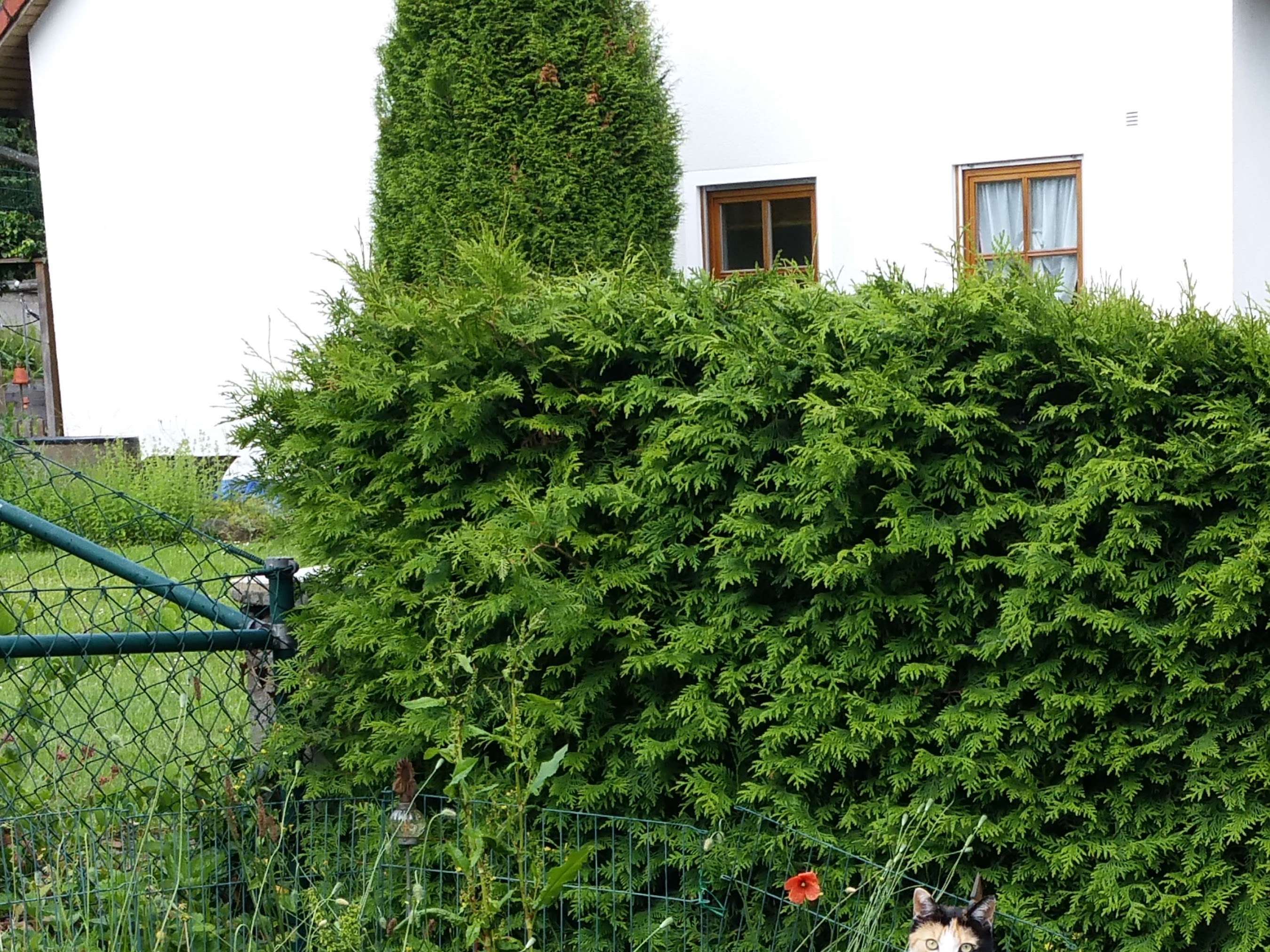 View 2 of Dr.med.vet. Anni Fütterer Tierärztin