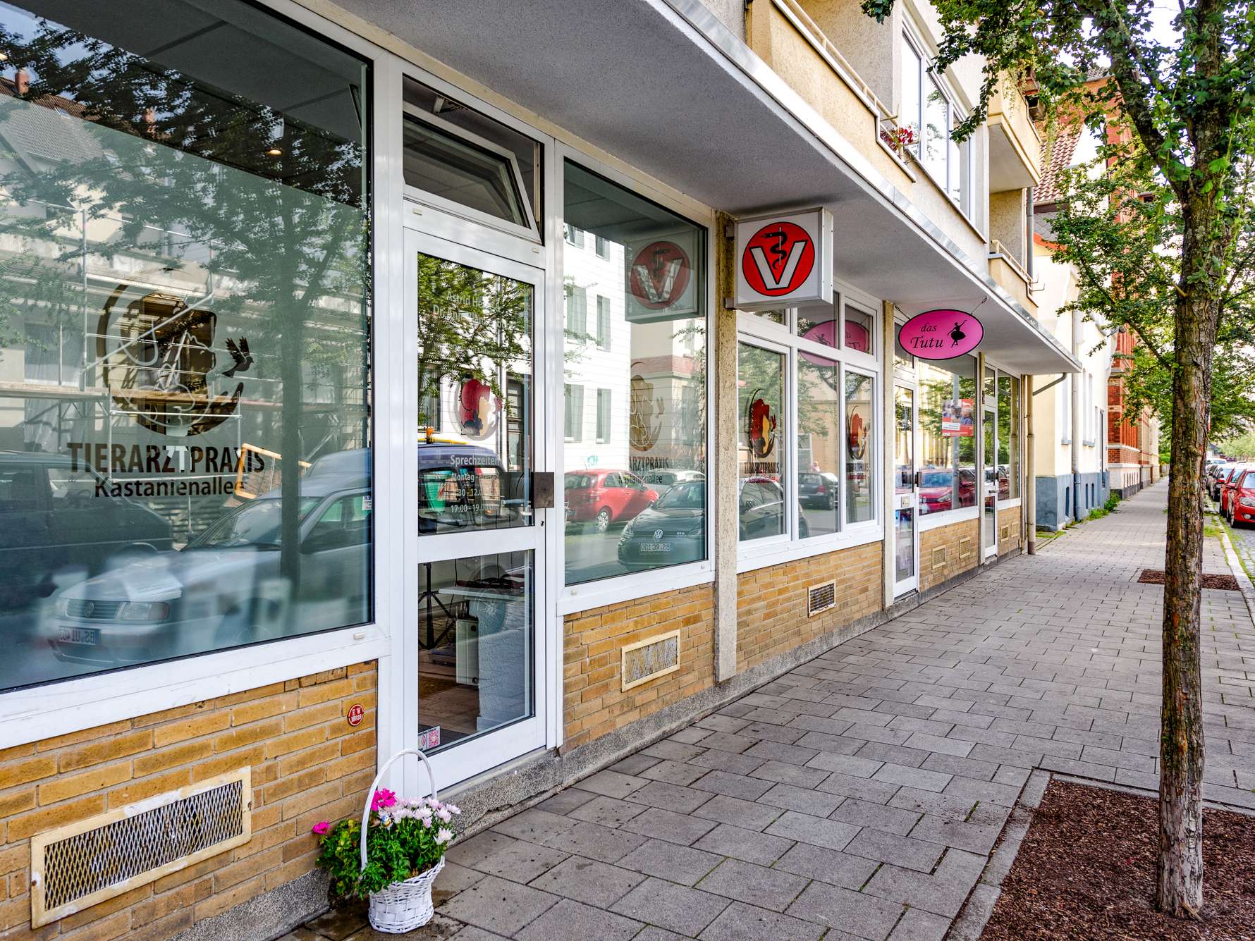 Ansicht 2 von Tierarztpraxis Kastanienallee