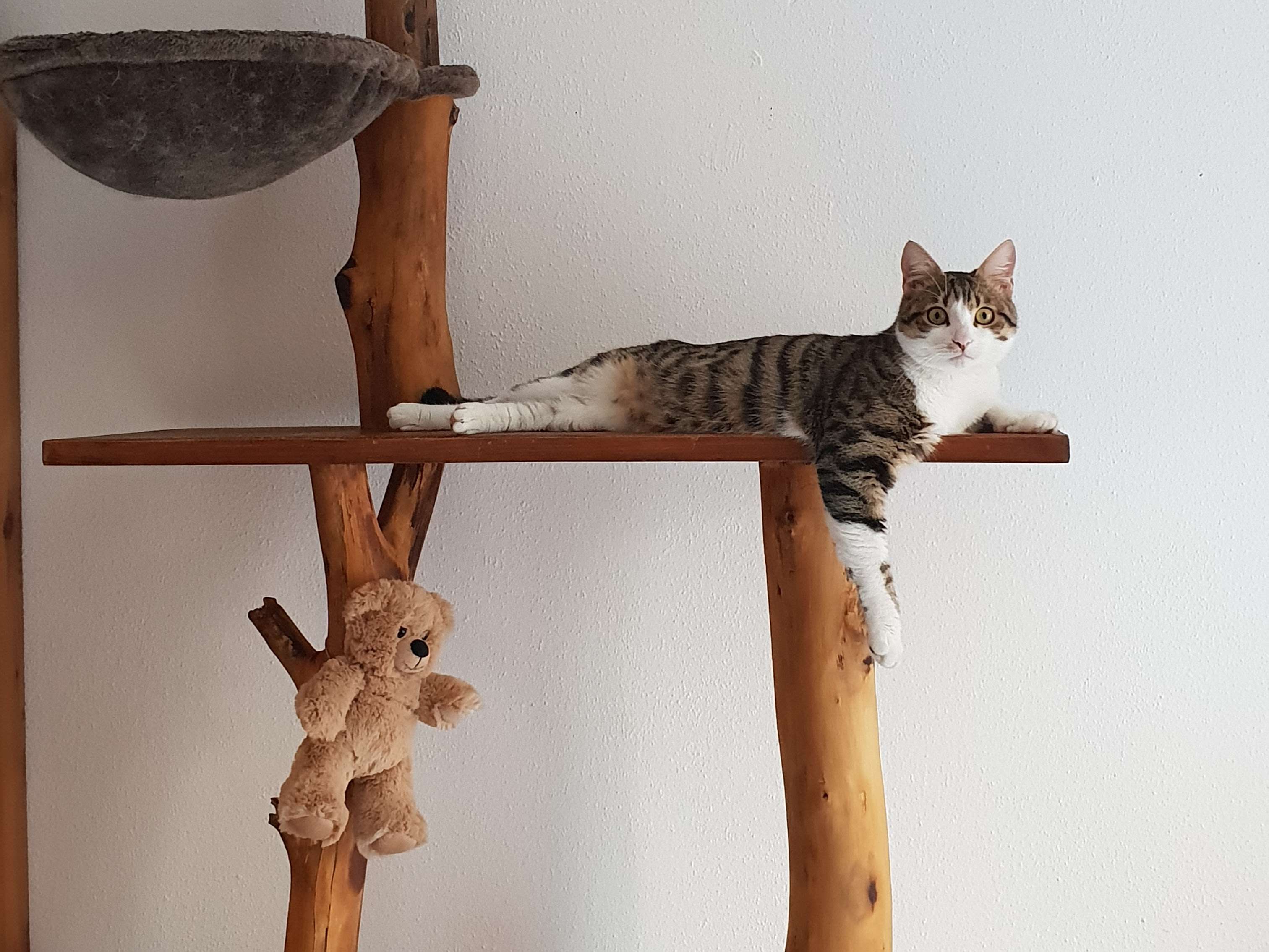 Ansicht 4 von Hilbich Dirk Dr.med.vet.