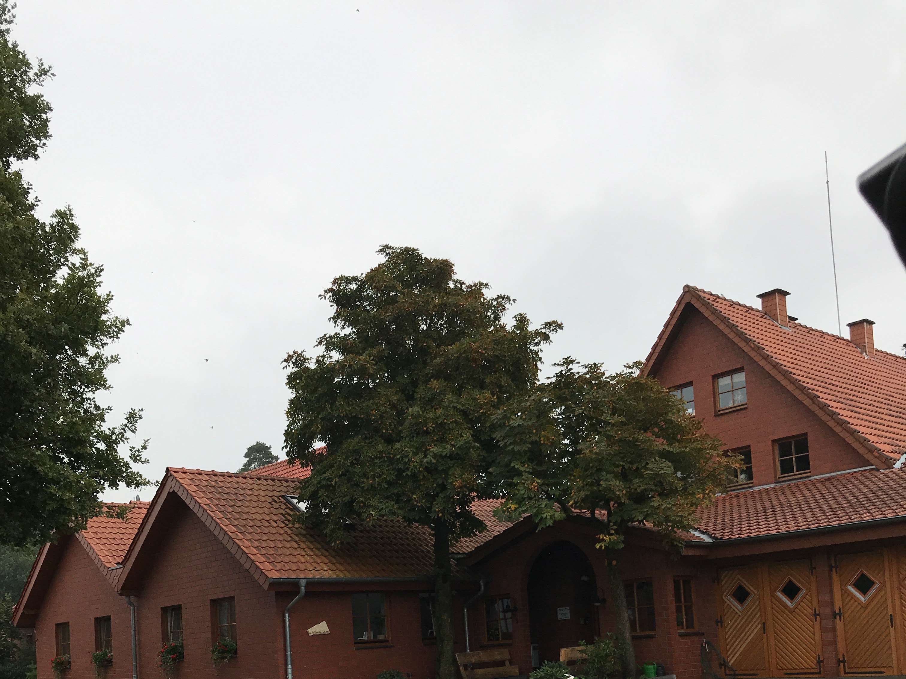 Ansicht 2 von Tierärztliches Gesundheitszentrum Dr. Vorbohle GmbH