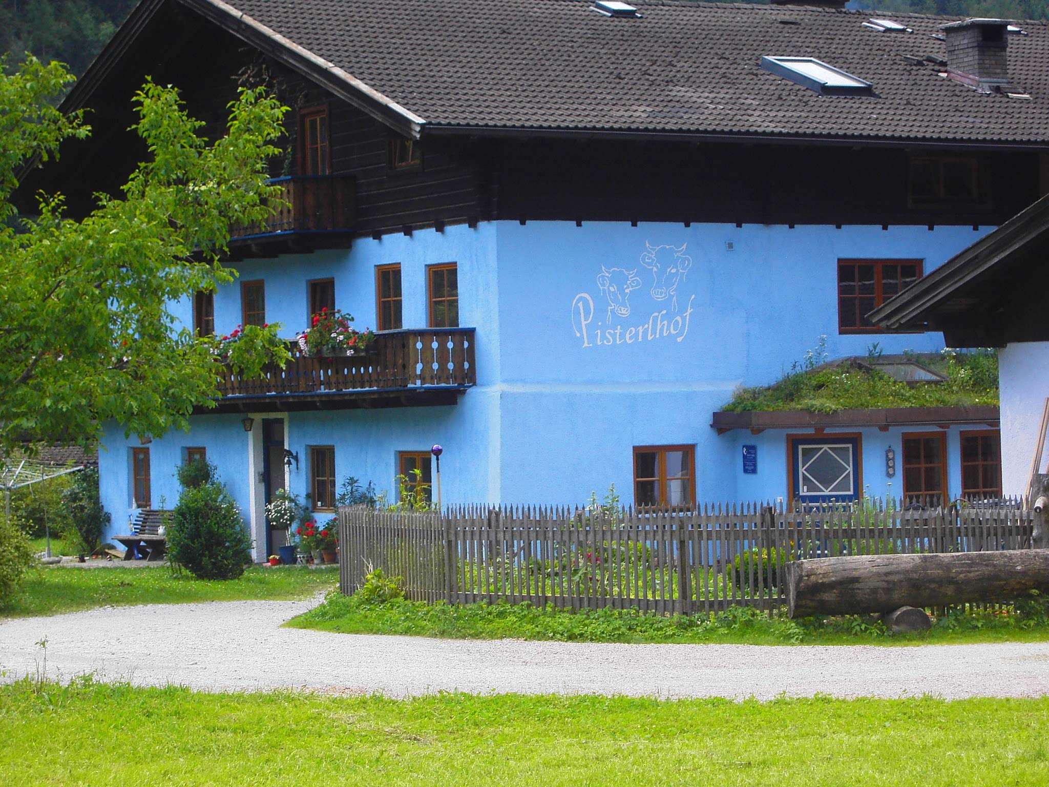 Ansicht 1 von Tierpension Pisterlhof - Tierärztin Dr. Karin Yaldez