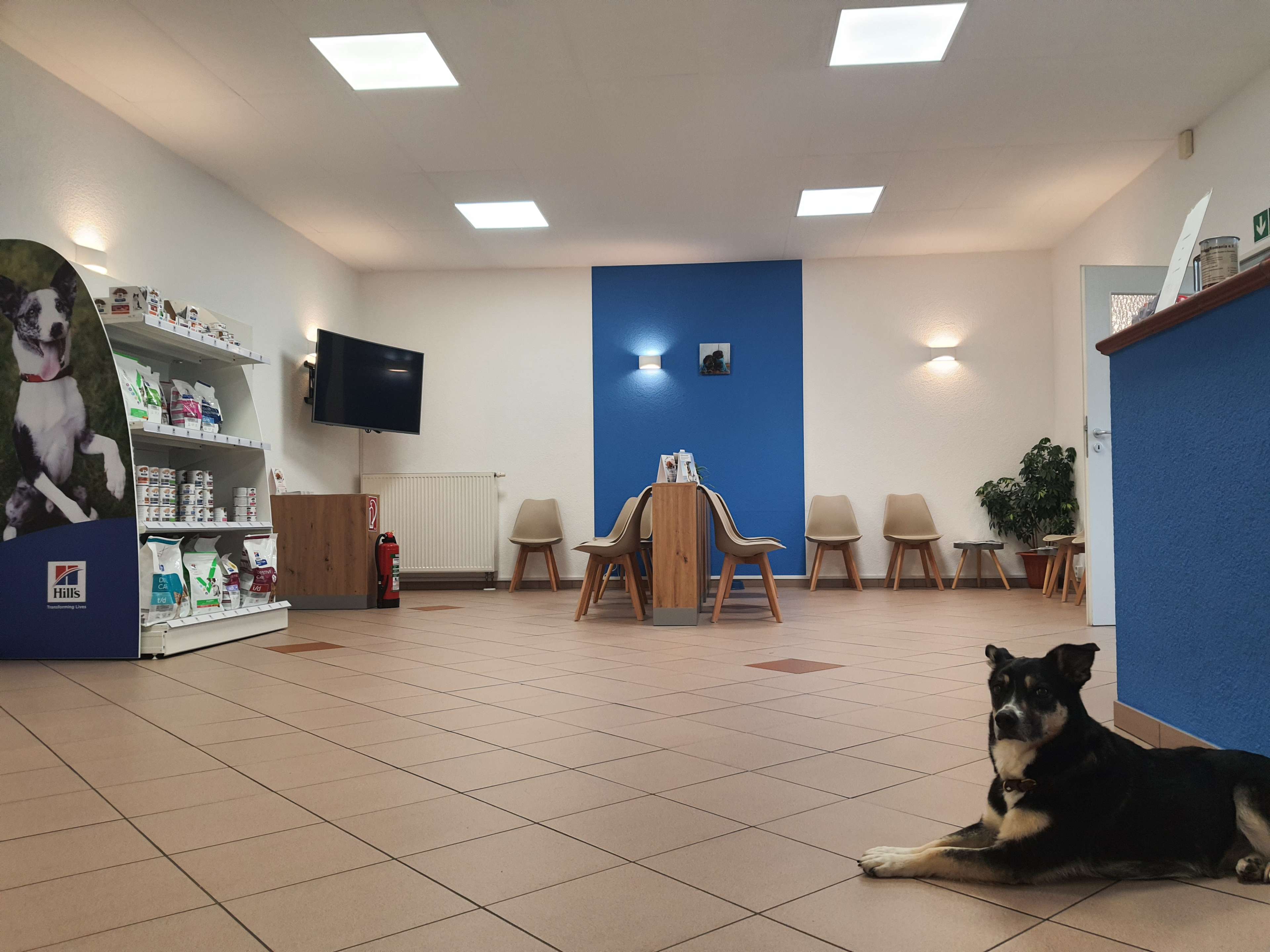 Ansicht 1 von Tiergesundheitszentrum Stadtbergen