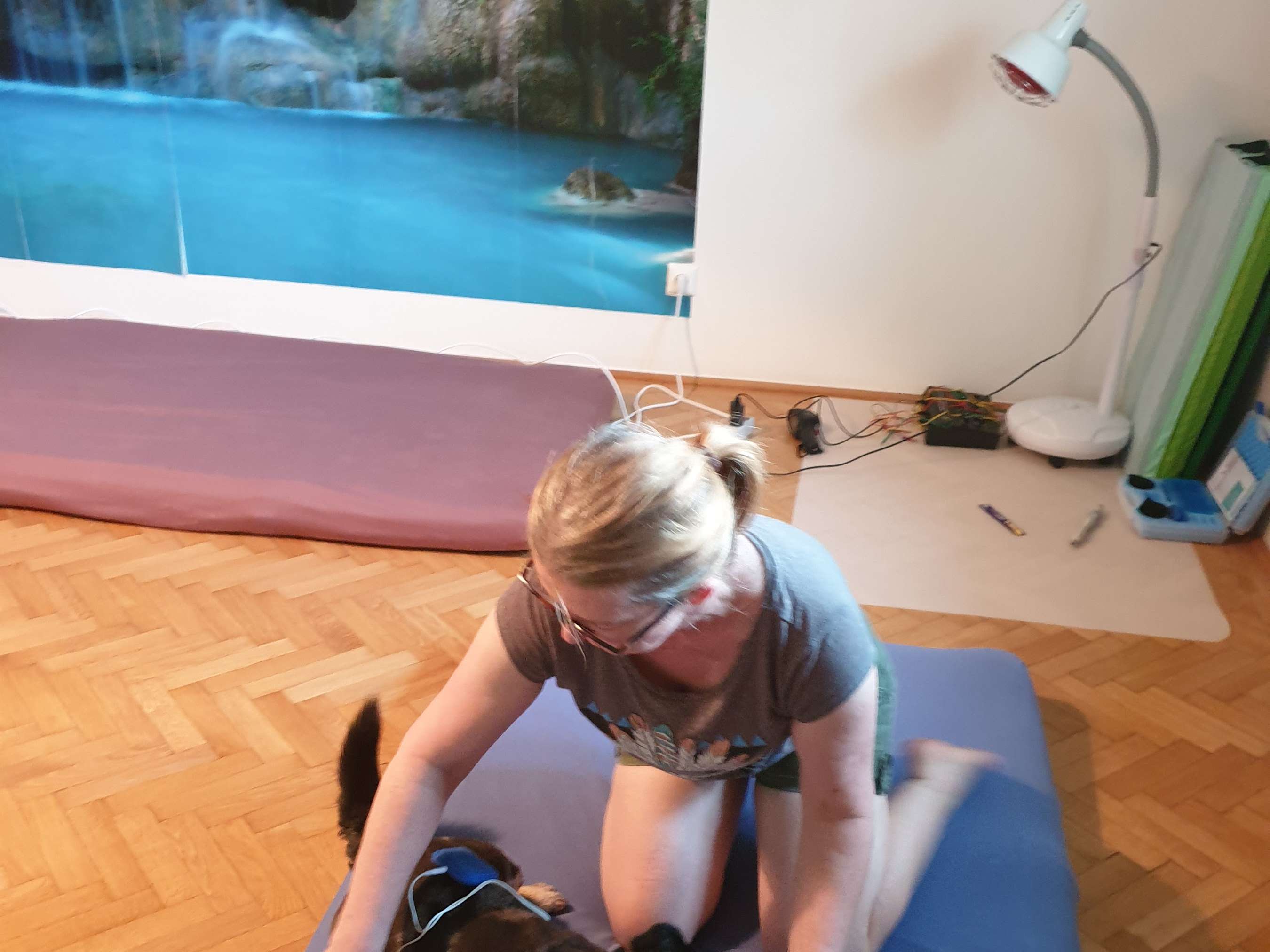 Ansicht 3 von SK-VET Tierarztpraxis - Mag. med. vet. Sibylle Karpf