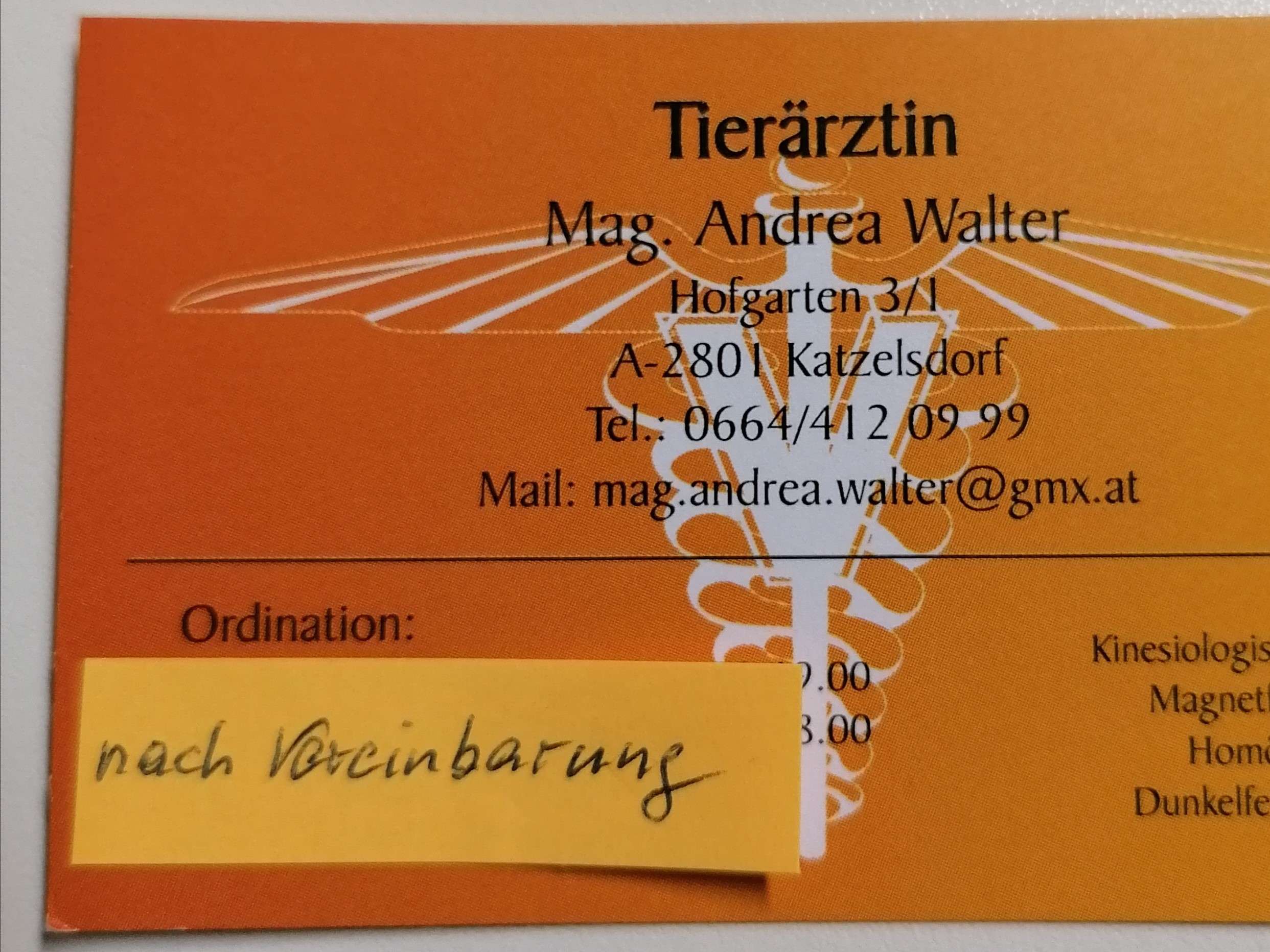 Ansicht 2 von Andrea Mag. WALTER