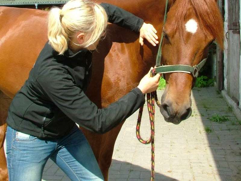 View 2 of Tierarztpraxis Dr. med. vet. Katharina Grewe