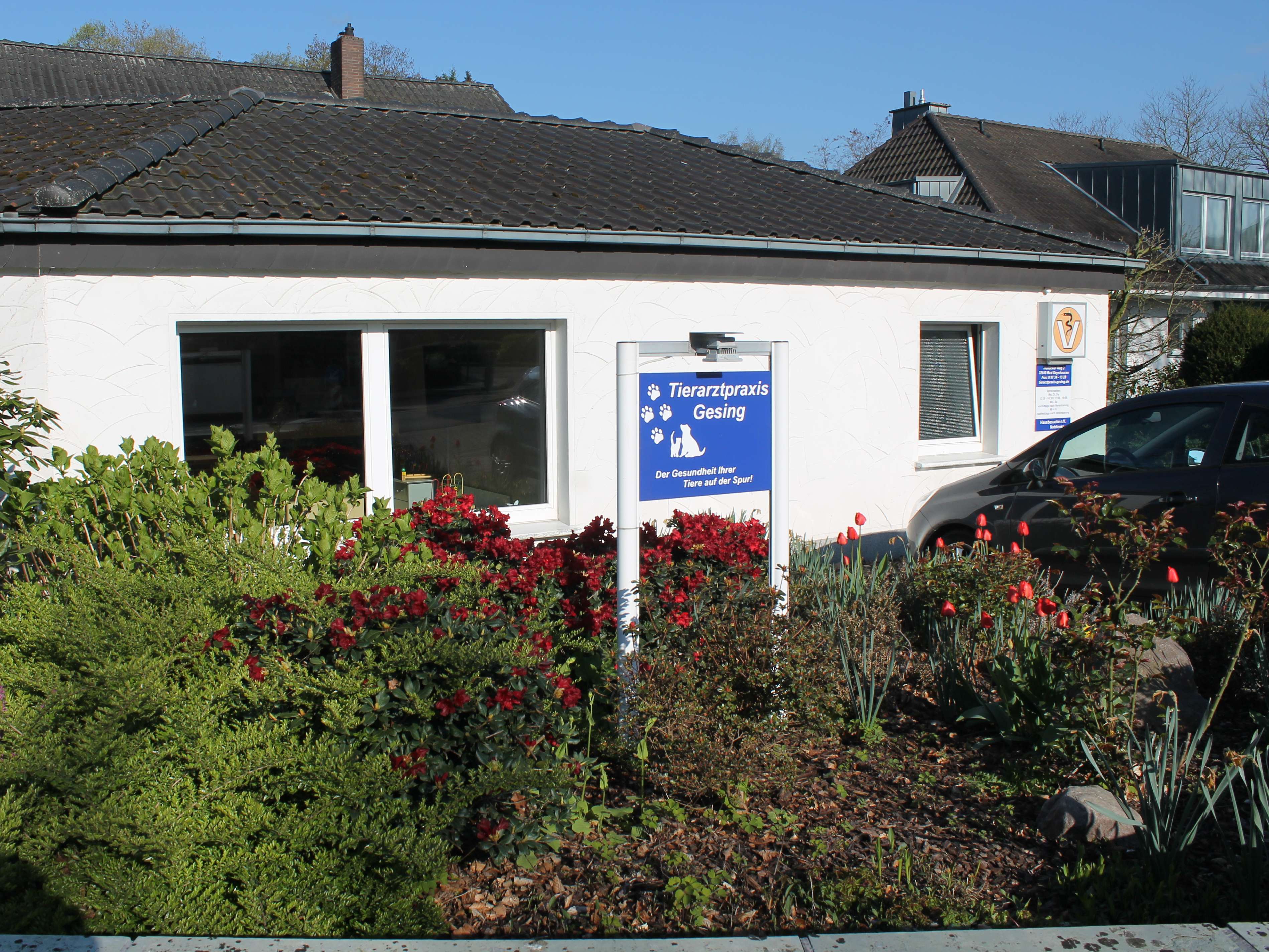 Ansicht 1 von Tierarztpraxis Gesing