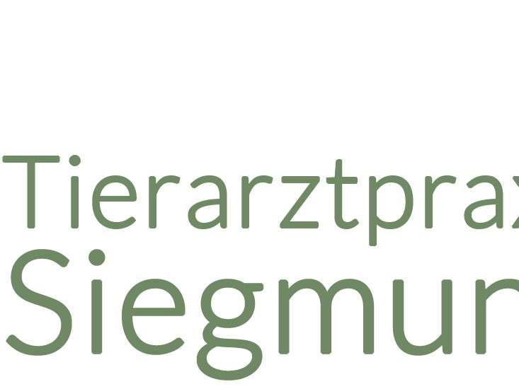 Ansicht 3 von Tierarztpraxis Nina Siegmund für Rinder & kleine Wiederkäuer