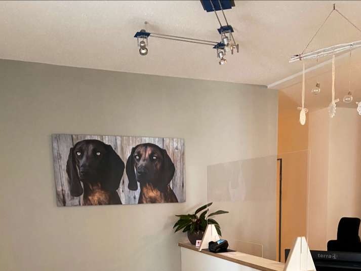 View 1 of Dr.med.vet. Birkenmaier