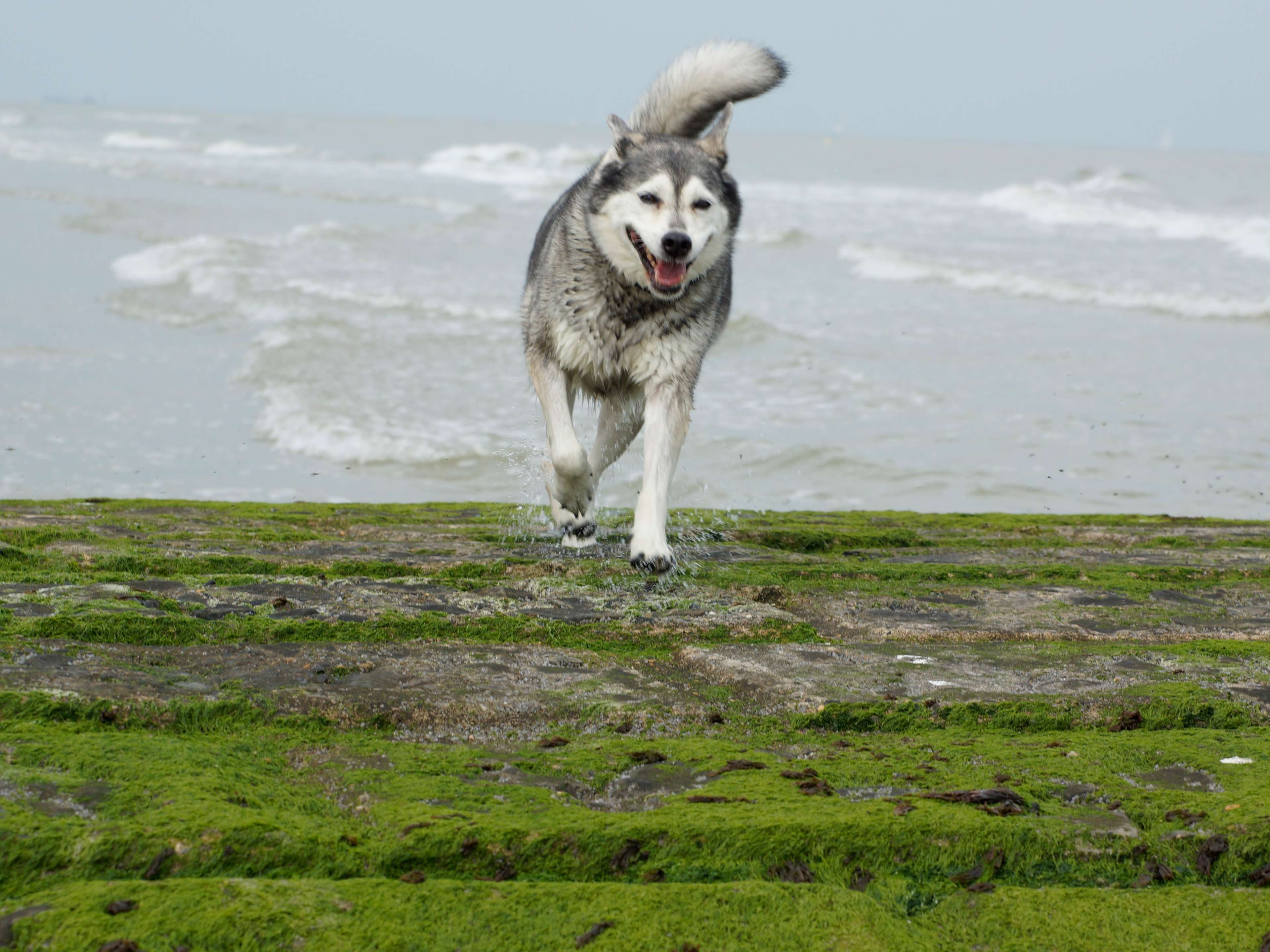 View 1 of Tierarztpraxis Pfahl-Kreis, pets-in-motion