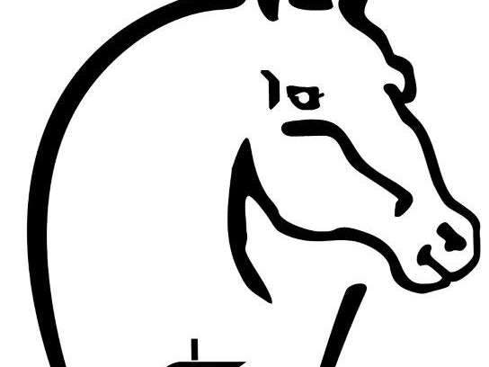 Ansicht 1 von Pferdenotdienst Bad Zwischenahn