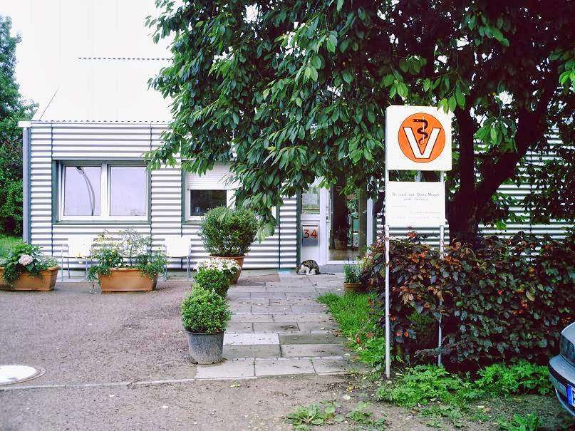 View 1 of Dr. Dörte Maack Tierärztin