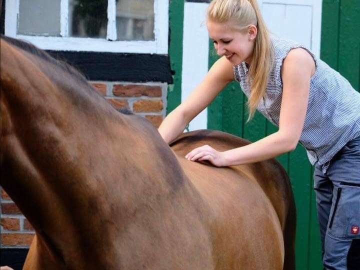 Ansicht 2 von Equuria GbR | Pferdepraxis