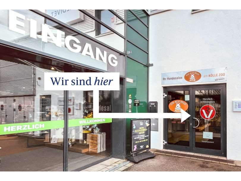 Ansicht 1 von Medivet Tierarztpraxis Münster