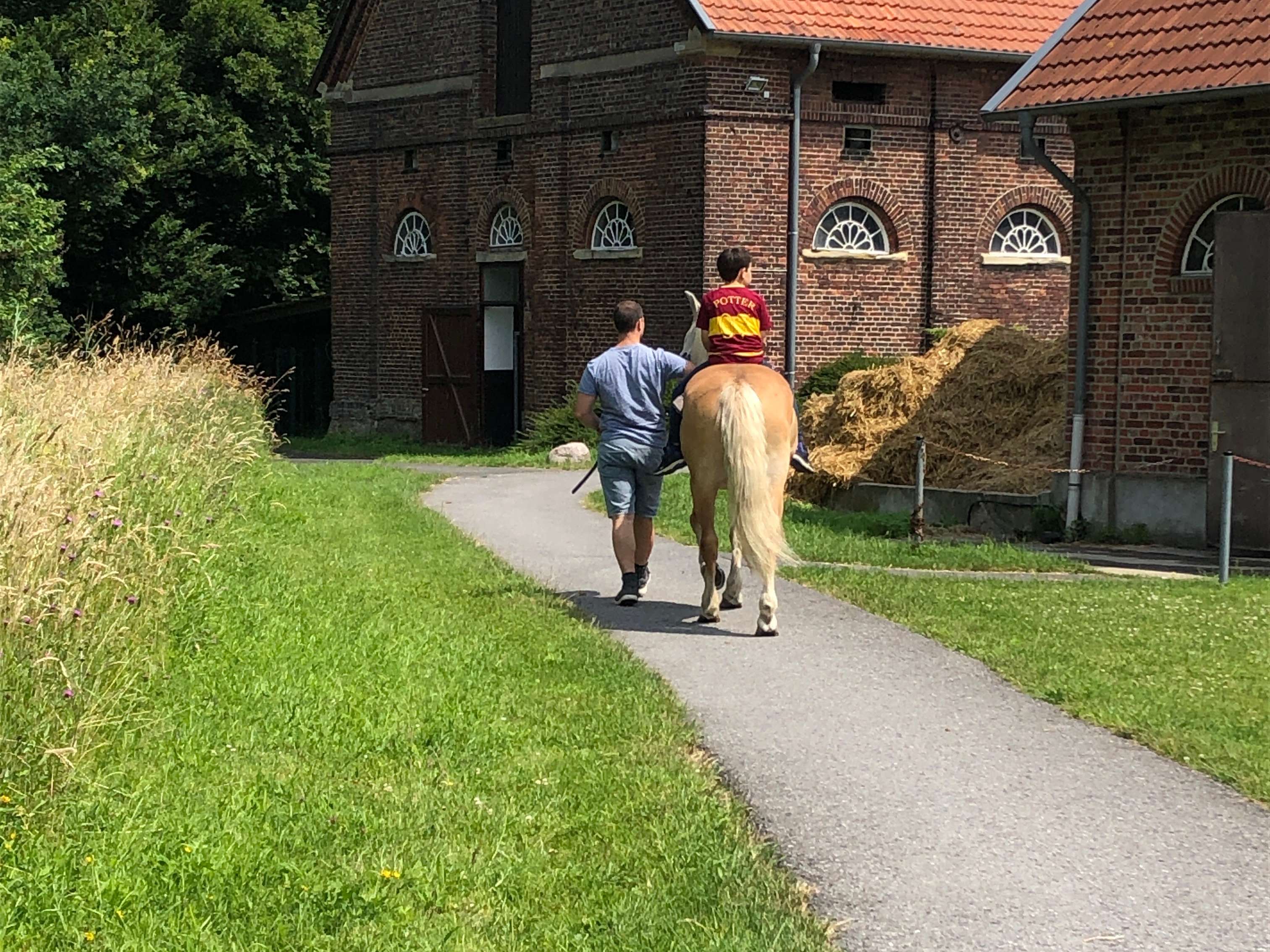 Ansicht 1 von Tierärztliches Kompetenzzentrum Karthaus GmbH