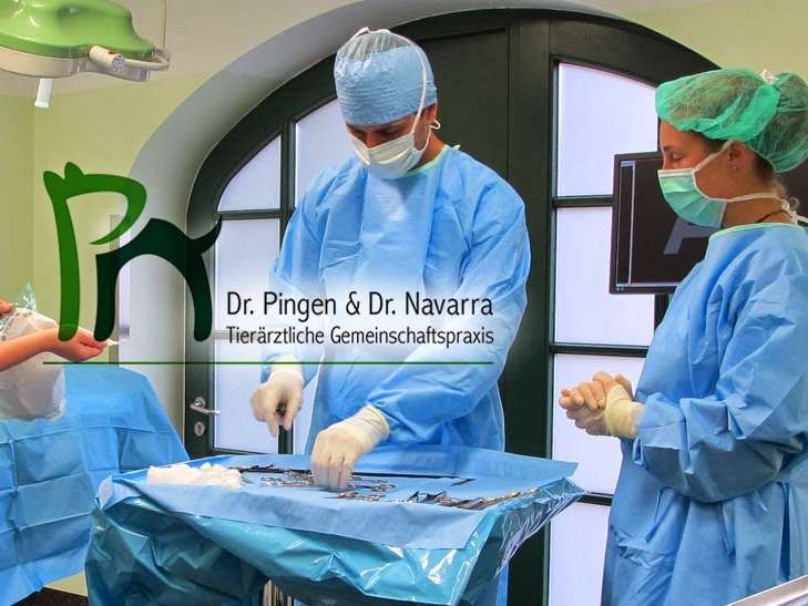 Ansicht 1 von Tierarztpraxis Pingen Navarra