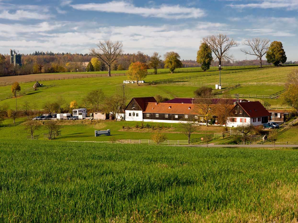 Ansicht 1 von Tierärztliches Zentrum für Pferde in Kirchheim Altano