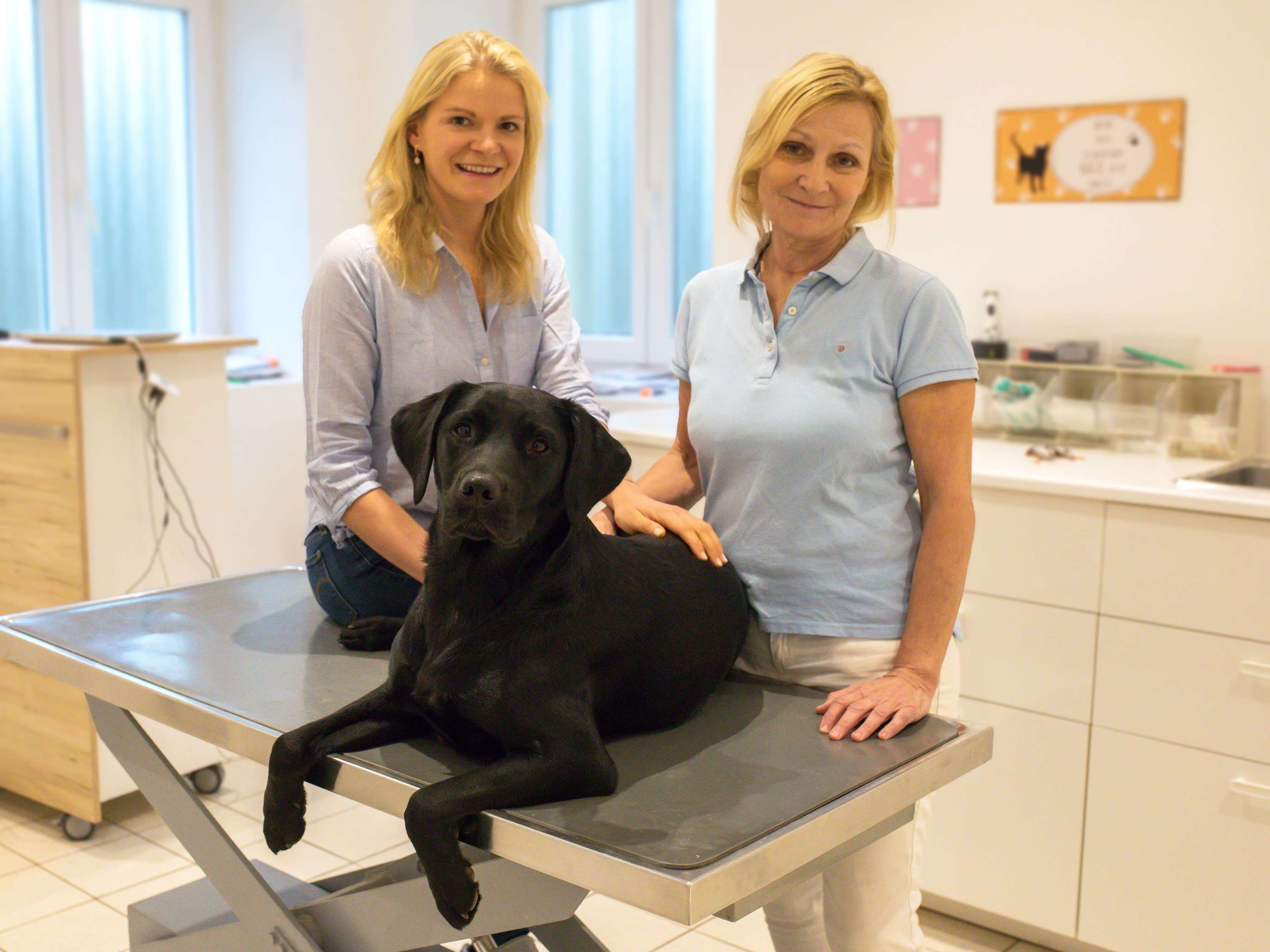 Ansicht 2 von Tierordination Froschberg - Dr. Ulla & Mag. med. vet. Lucy Roberts