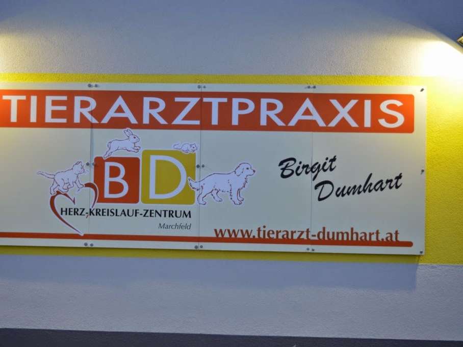 View 1 of Tierarzt Birgit Dumhart Herz-Kreislaufzentrum Marchfeld in Untersiebenbrunn