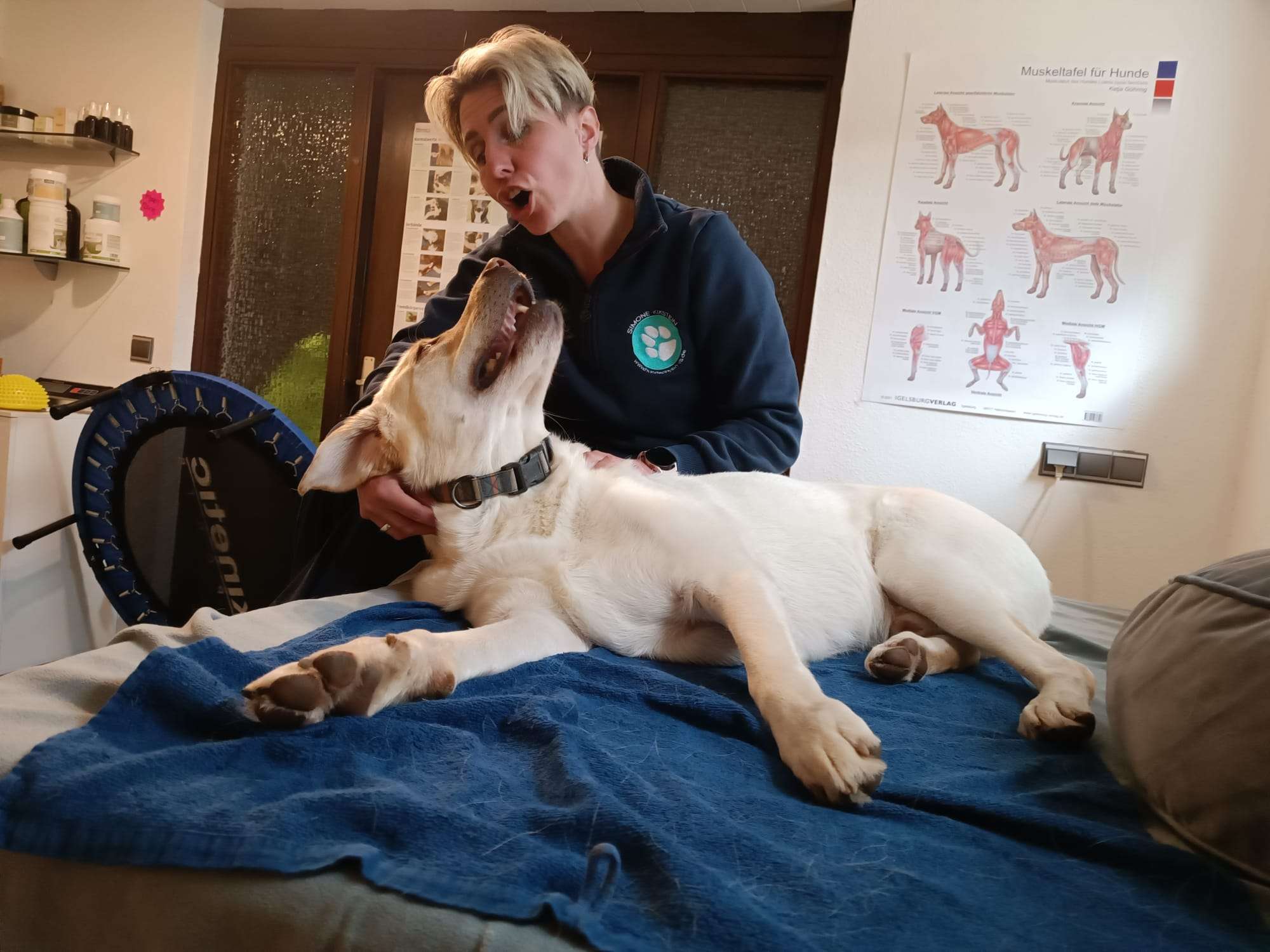 Ansicht 3 von Hundephysio und Tierheilpraxis Simone Kikstein