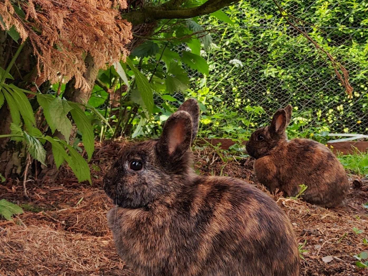 Ansicht 3 von Tierarztpraxis Hinterland