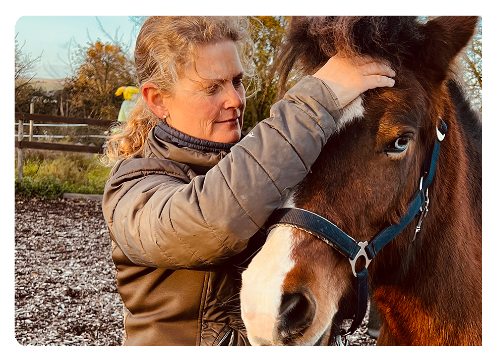 Ansicht 3 von PRAKTISCHE TIERÄRZTIN KAREN KÖTTER | DENTALPRAKTIK | CHIROPRAKTIK | AKUPUNKTUR