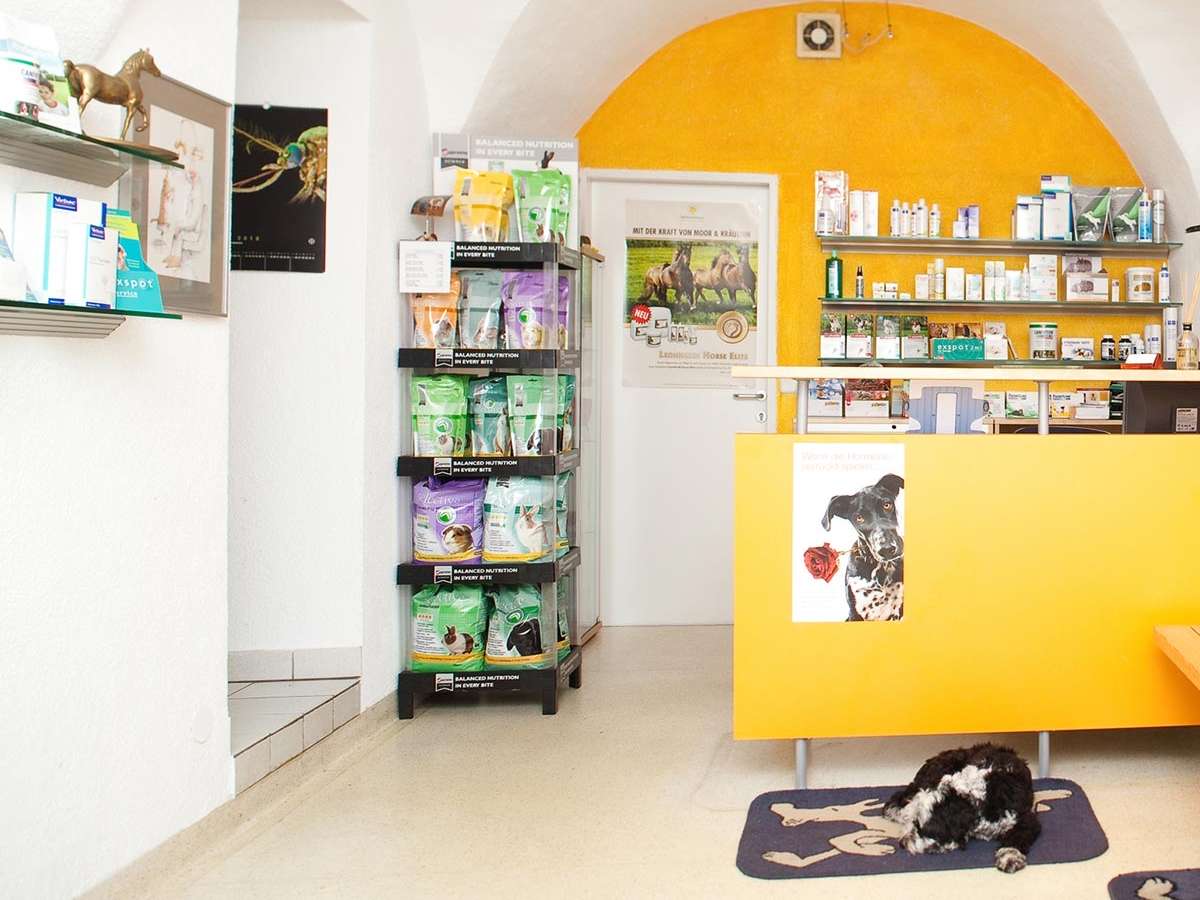 Ansicht 1 von Tierambulatorium Zirl, Dr.med.vet Stefan Ferschl, MSc, Fachtierarzt für Kleintiere