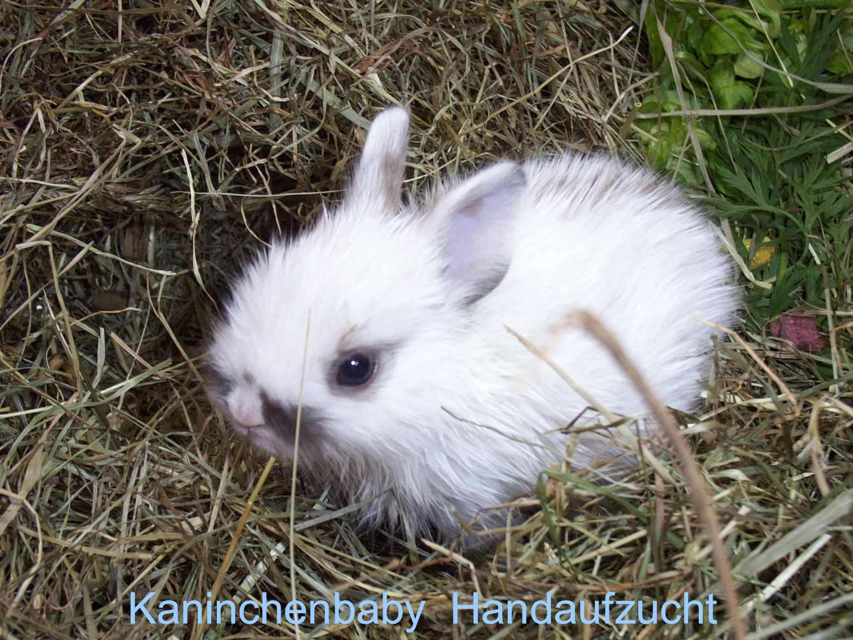Ansicht 1 von Tierarztpraxis von Plettenberg