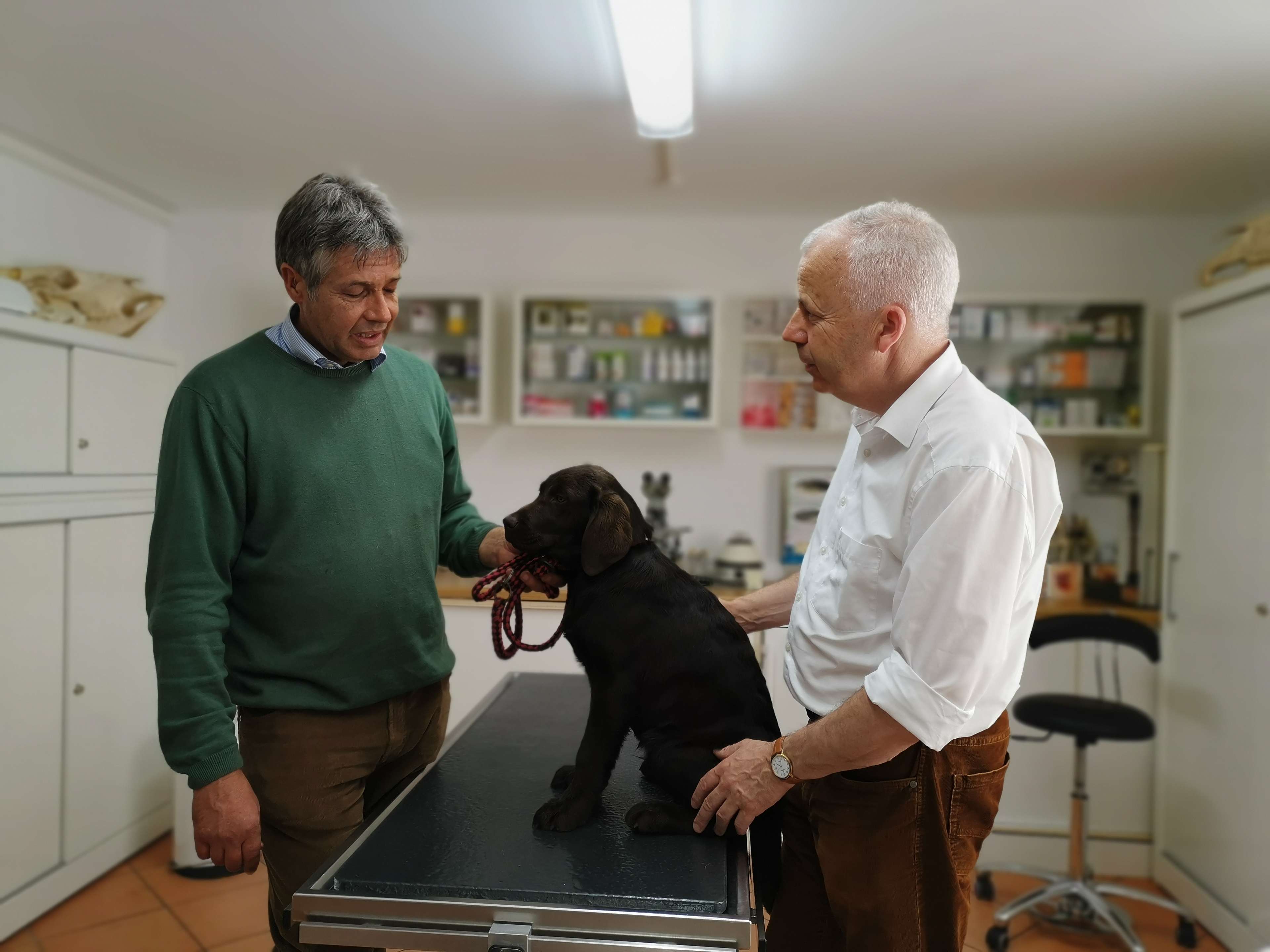 Ansicht 2 von Dr. Hartmut Müller Tierarzt