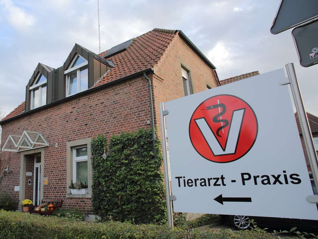 Ansicht 1 von Tierarzt Praxis DVM Lehmann