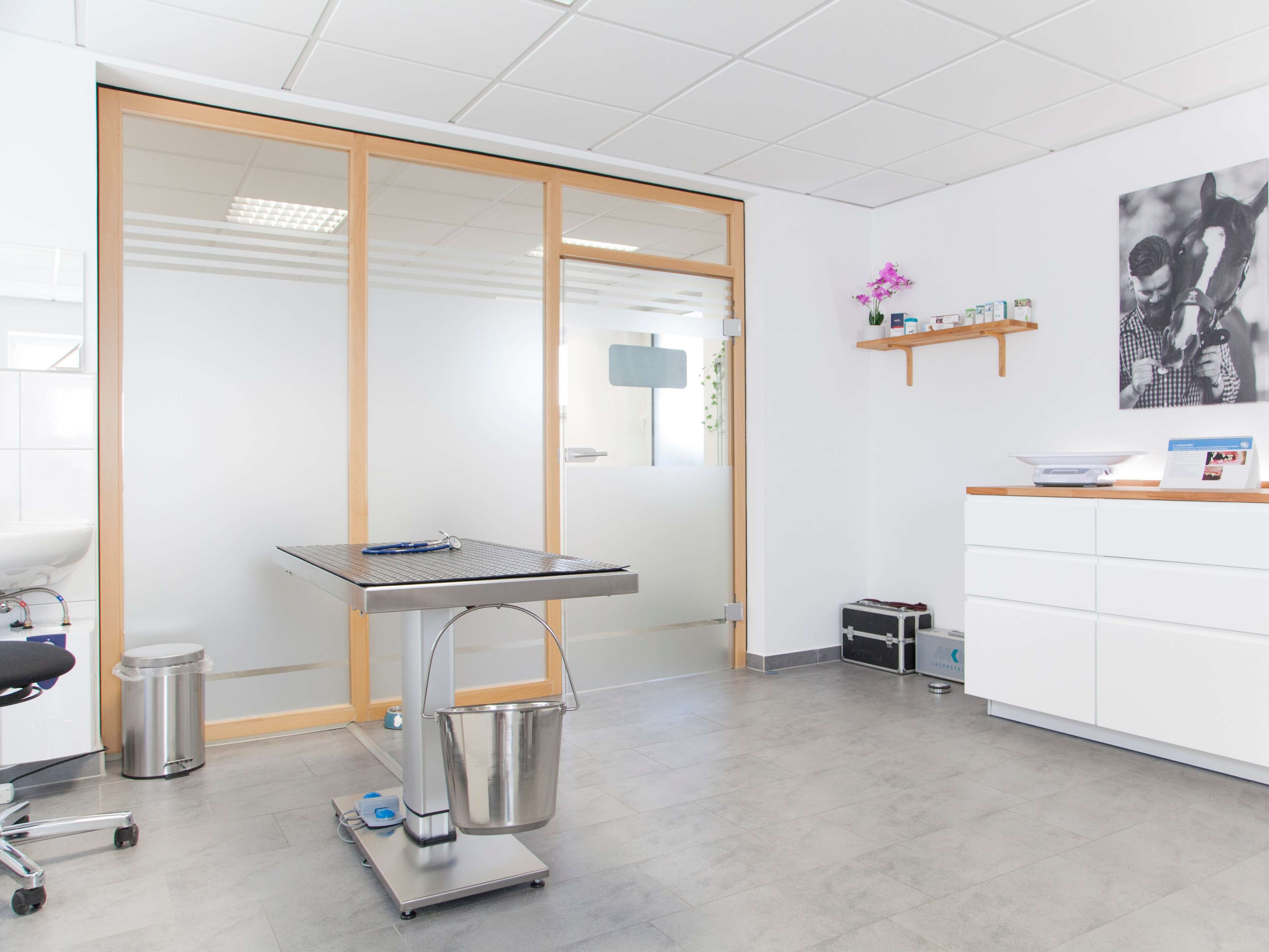 Ansicht 2 von Dr. med. vet. Matthias May