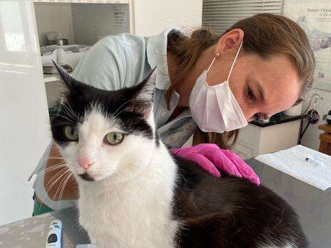 Ansicht 3 von Tierarztpraxis dr. vet. jasmin grau