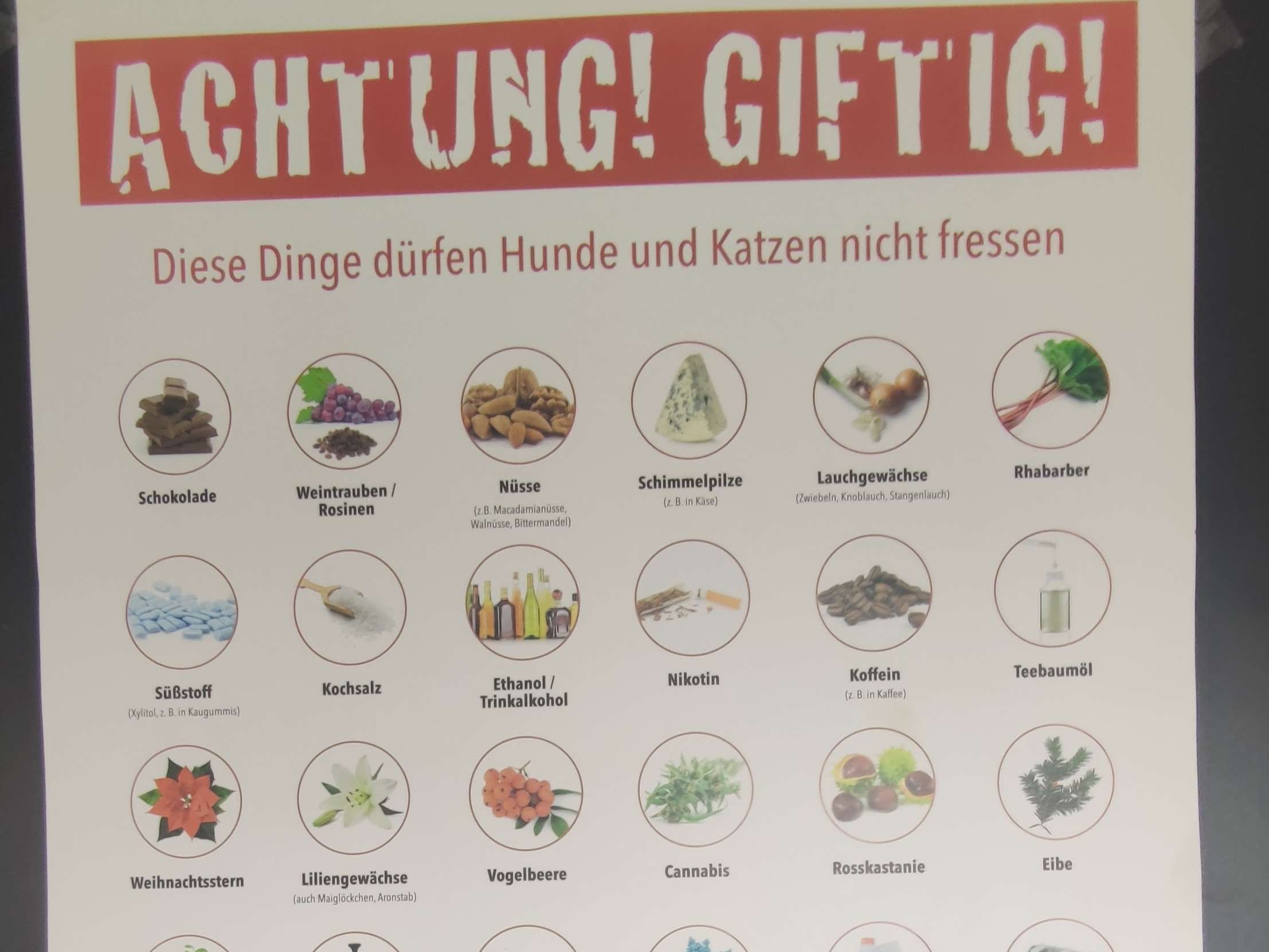 Ansicht 4 von Tierarztpraxis Am Husarenhof