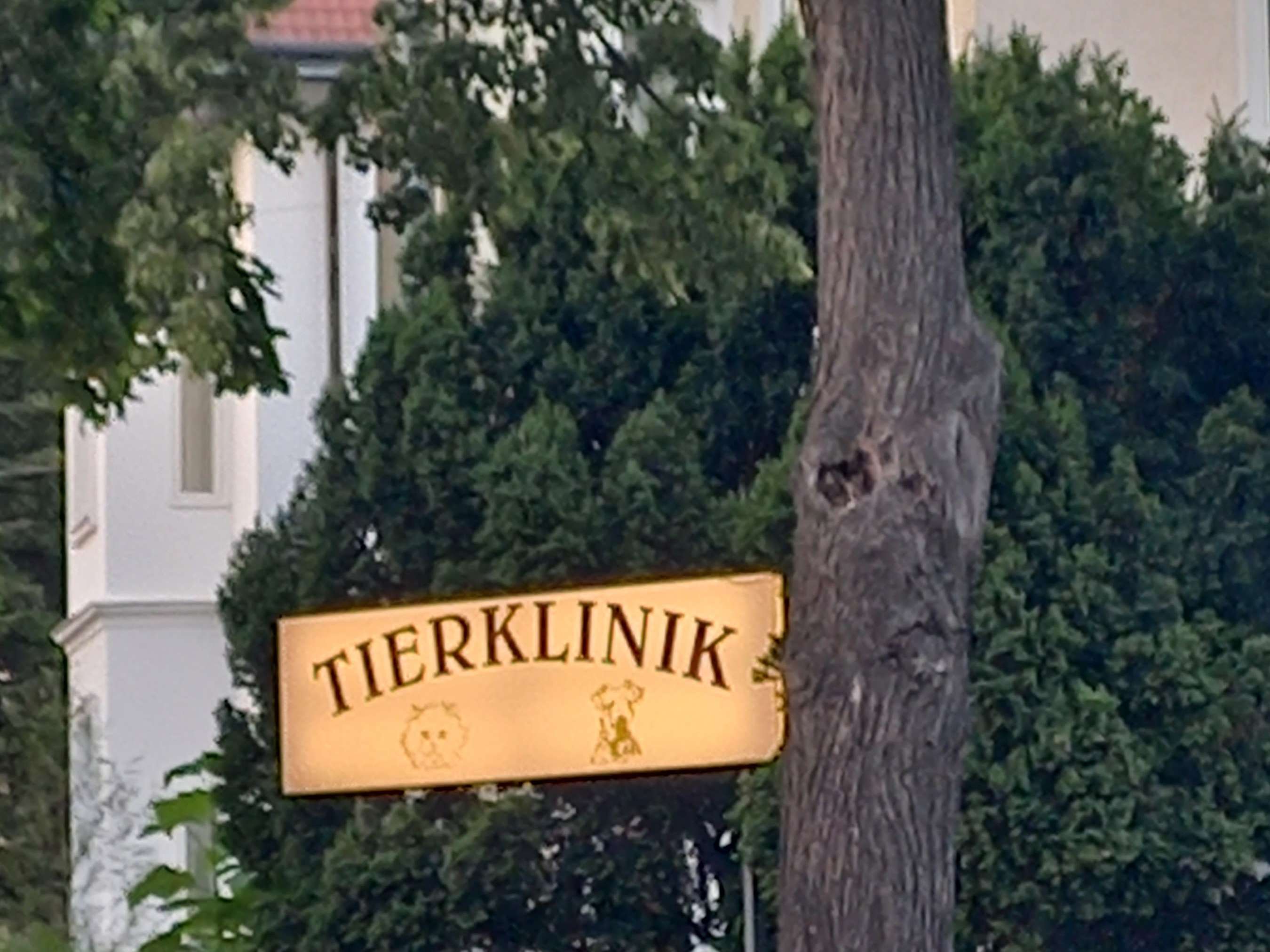 Ansicht 1 von Tierklinik Dr. Hutter