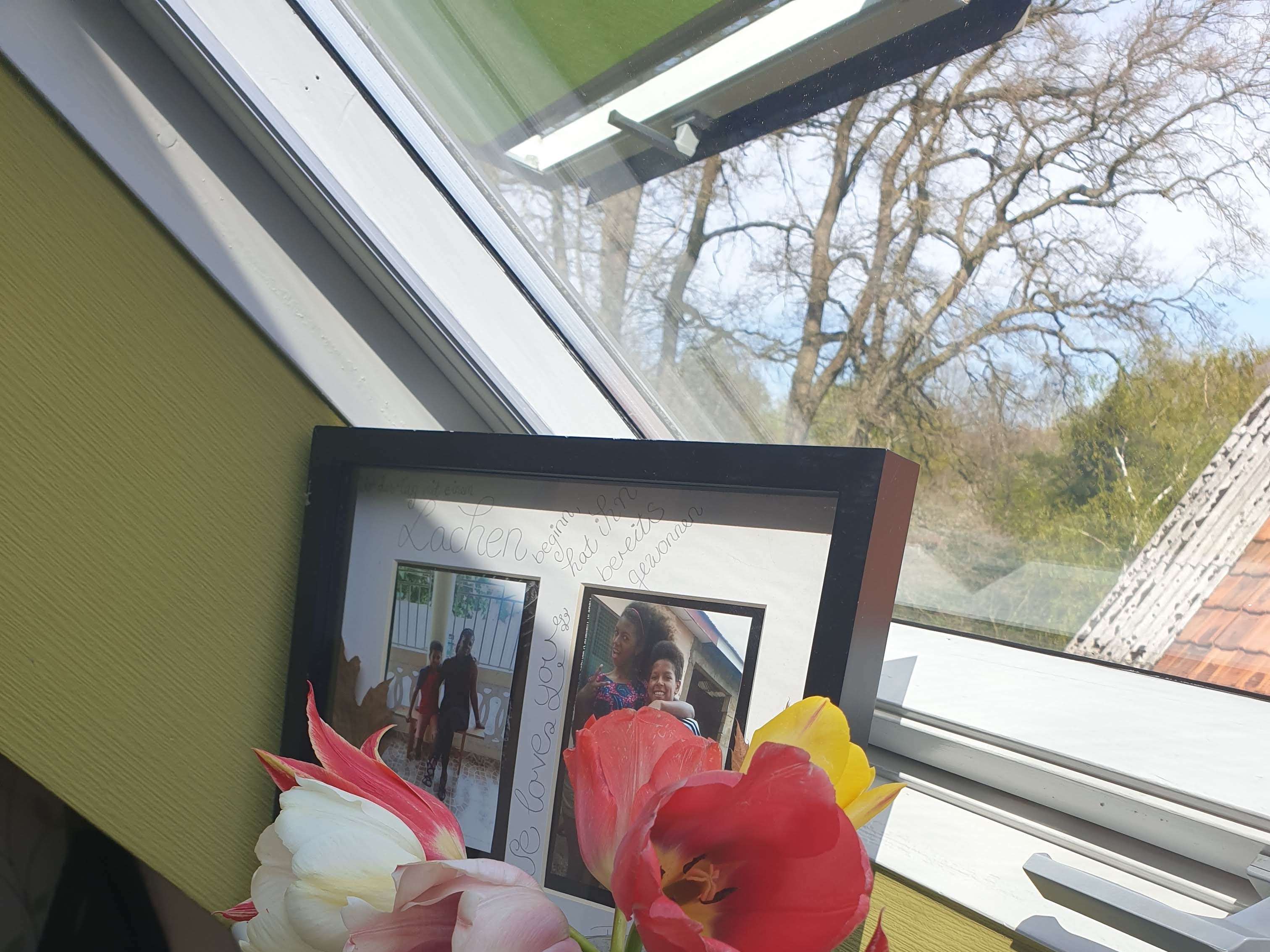 View 3 of Tierärztliche Praxis für Pferde Stefanie Süß