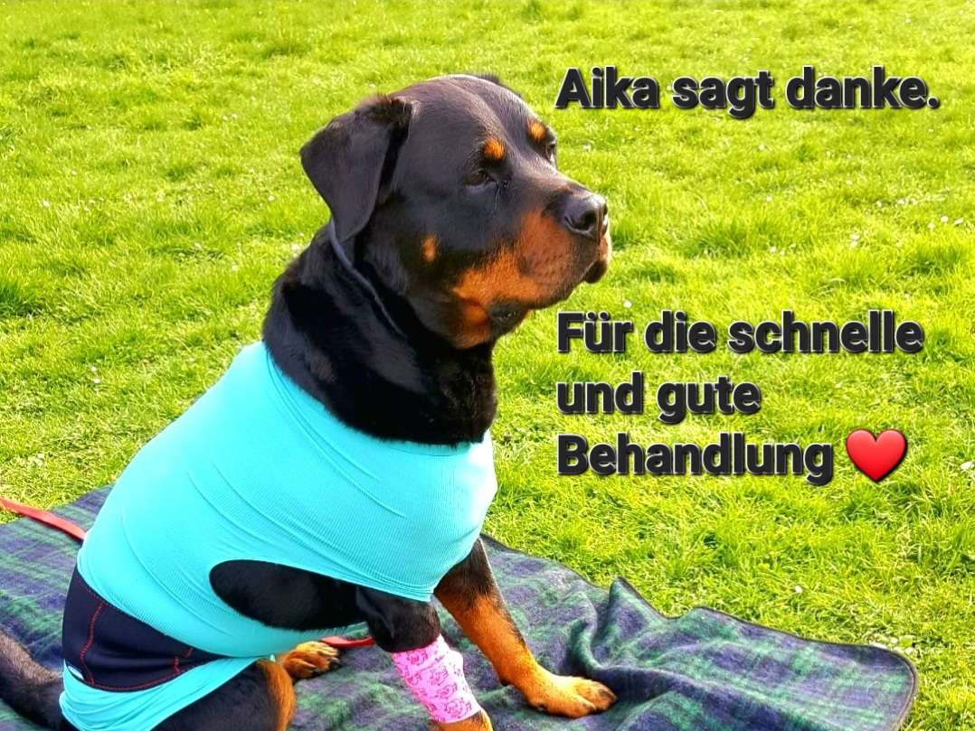 View 1 of Tierarztpraxis Wirbelvet Mareike Unverricht