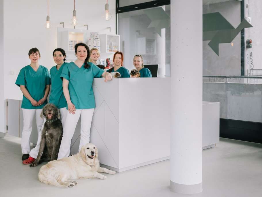 Ansicht 1 von Tierarztpraxis Dr. Fenina + Burwieck