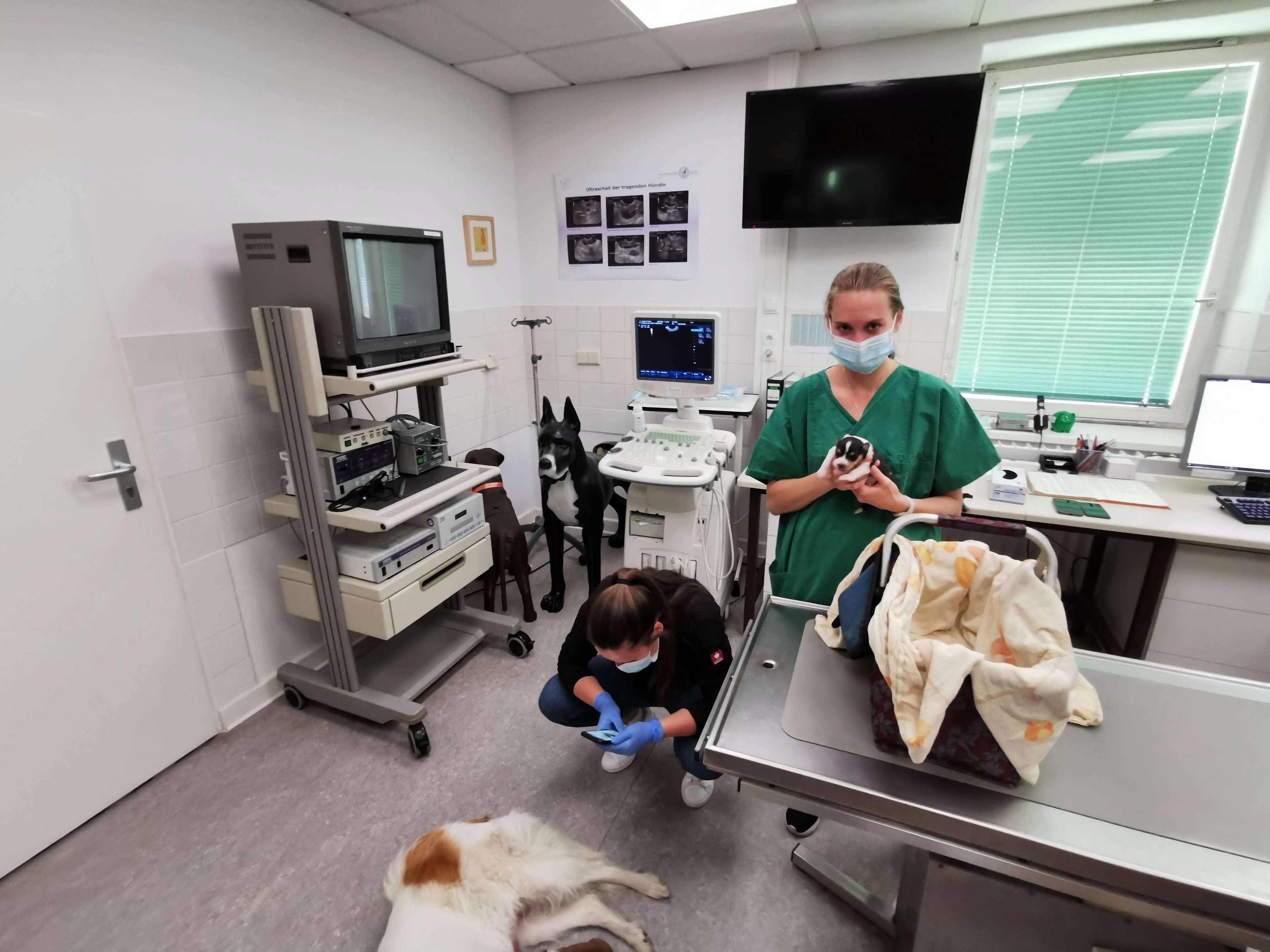 Ansicht 1 von Tierklinik für Fortpflanzung - Freie Universität Berlin