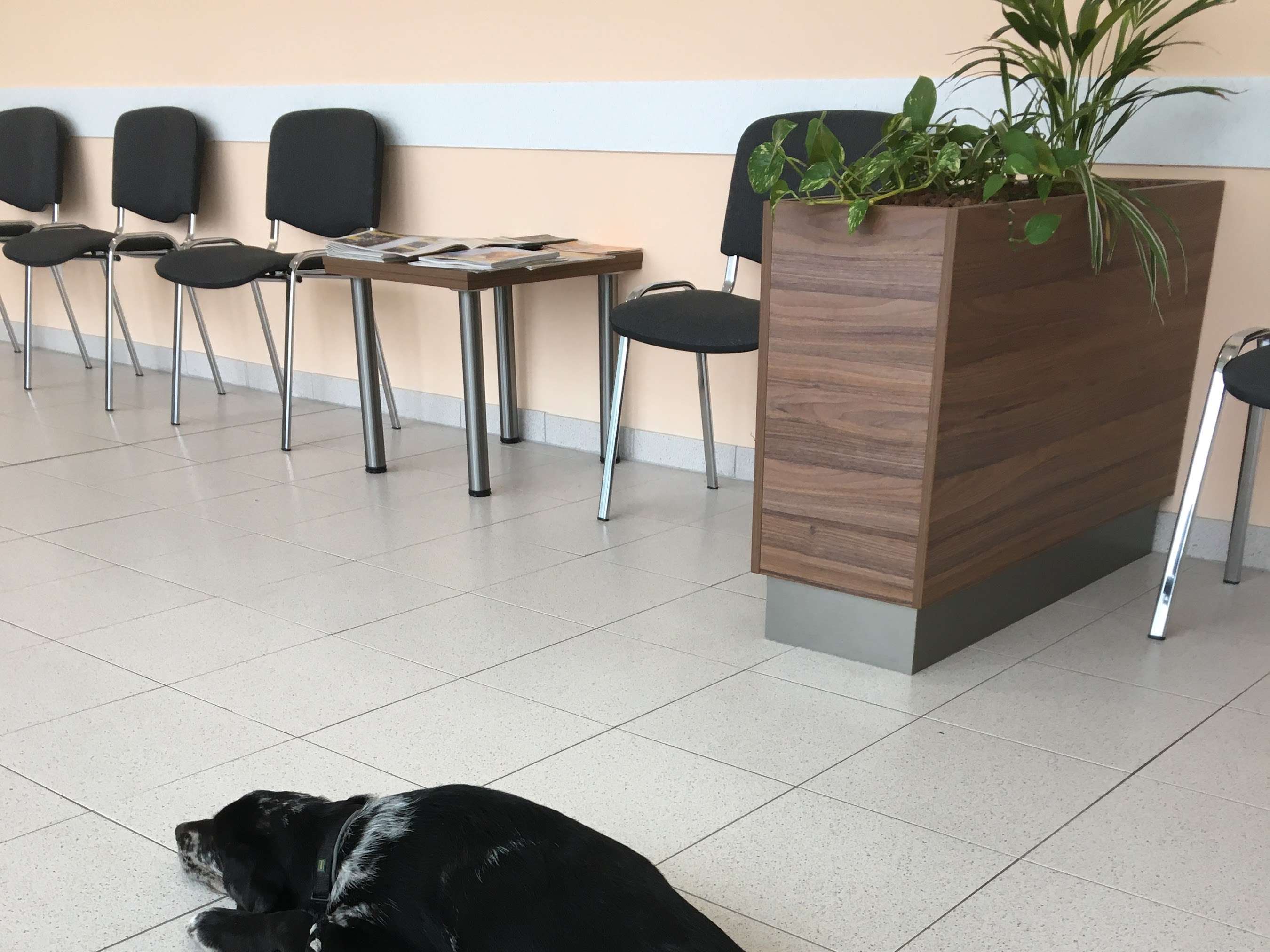 Ansicht 3 von Tierklinik Bad Ischl Dr.Adelsmayr/Mag.Grabner OG