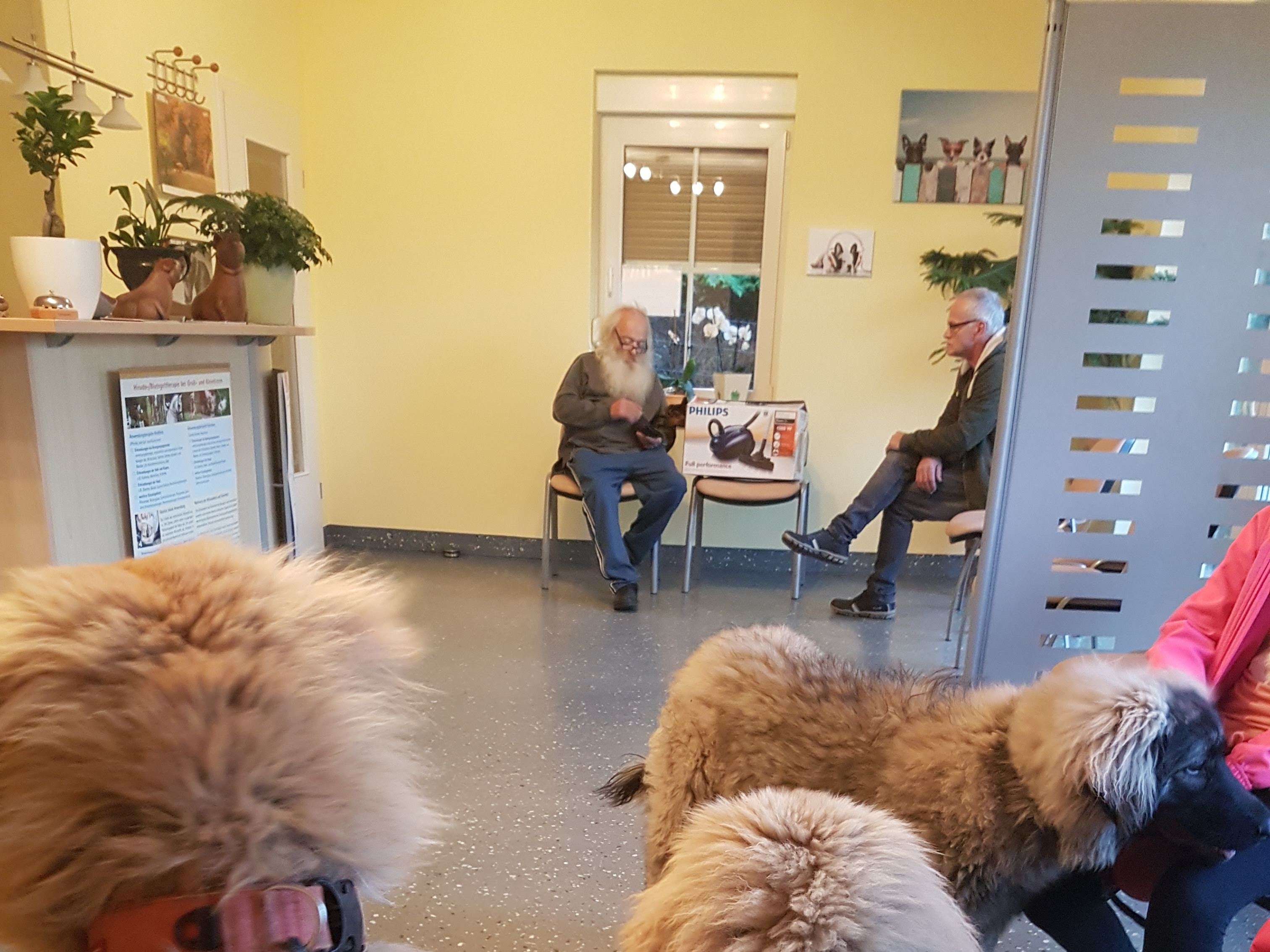 Ansicht 3 von Dipl.Med.Vet. Michael Flaake Tierarzt