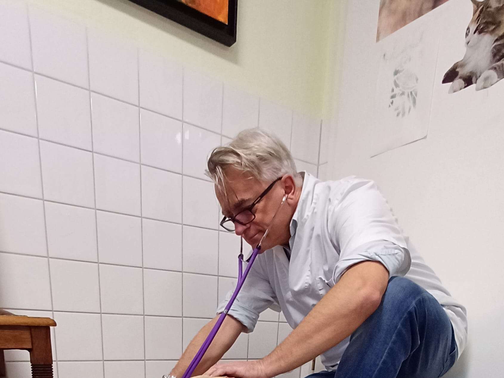 Ansicht 1 von Dr.med.vet. Klaus Eckert Tierarzt