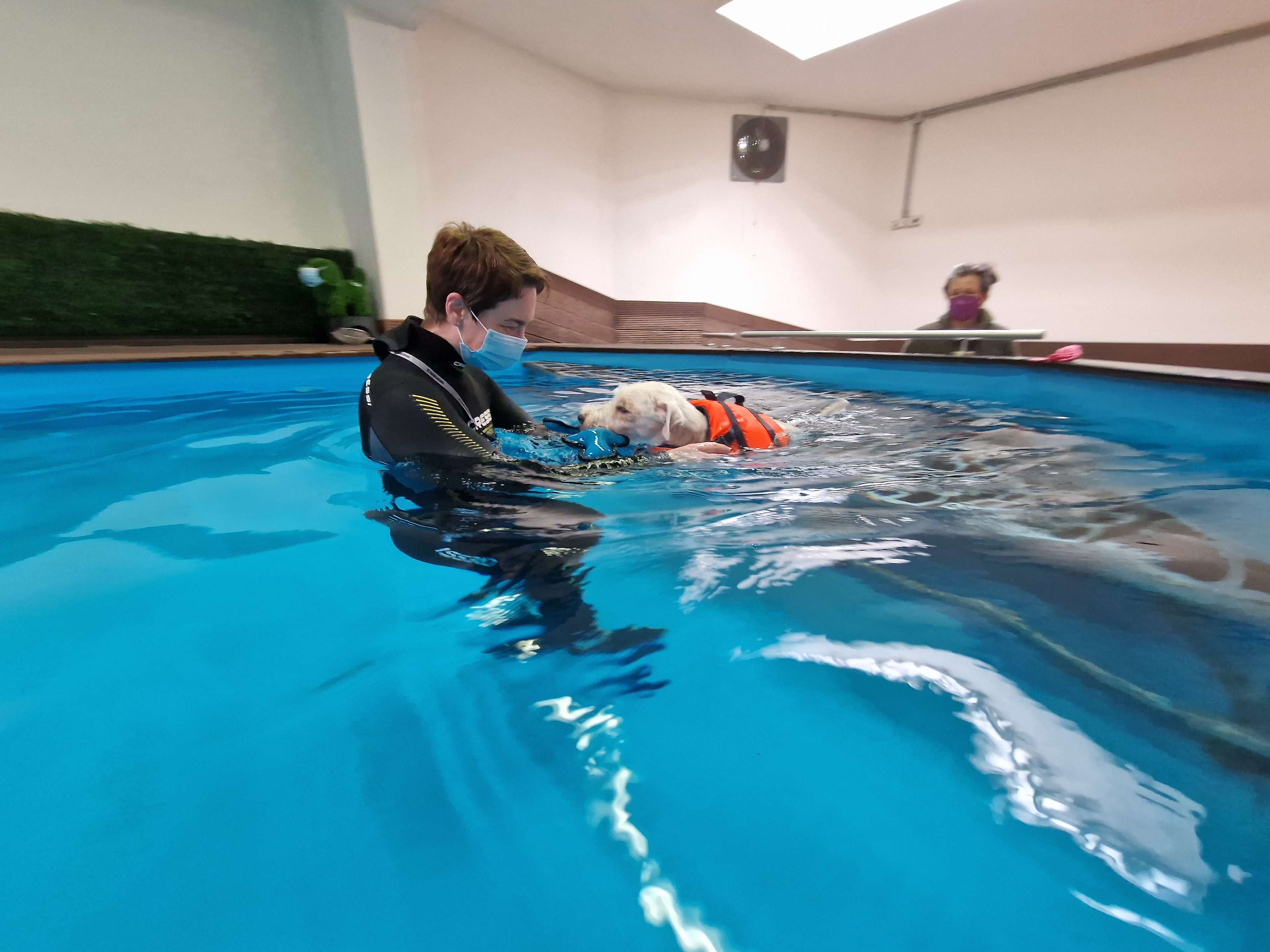 Ansicht 2 von Gangwerk Praxis für Hundephysiotherapie