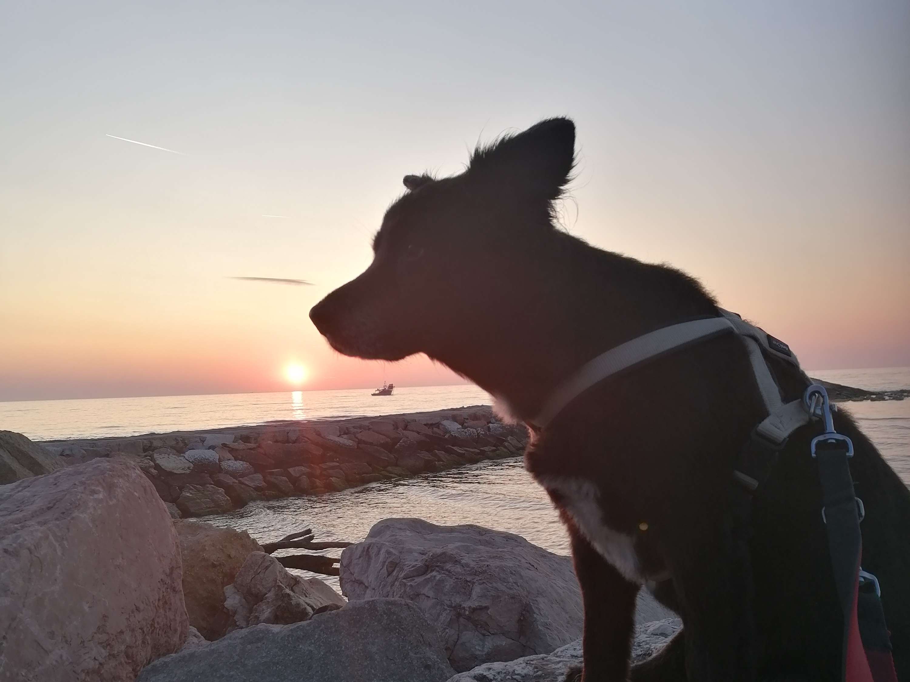 Ansicht 1 von Dr. vet. Alix-Marleen Wieland