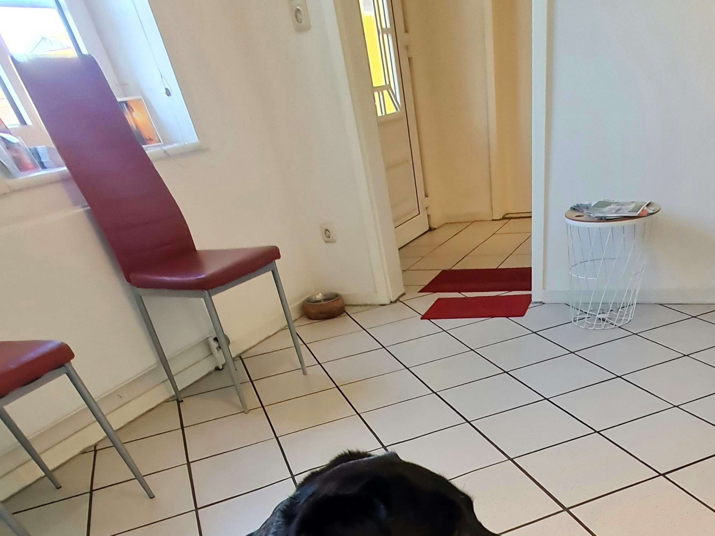 Ansicht 1 von Kleintierpraxis Neuer Weg