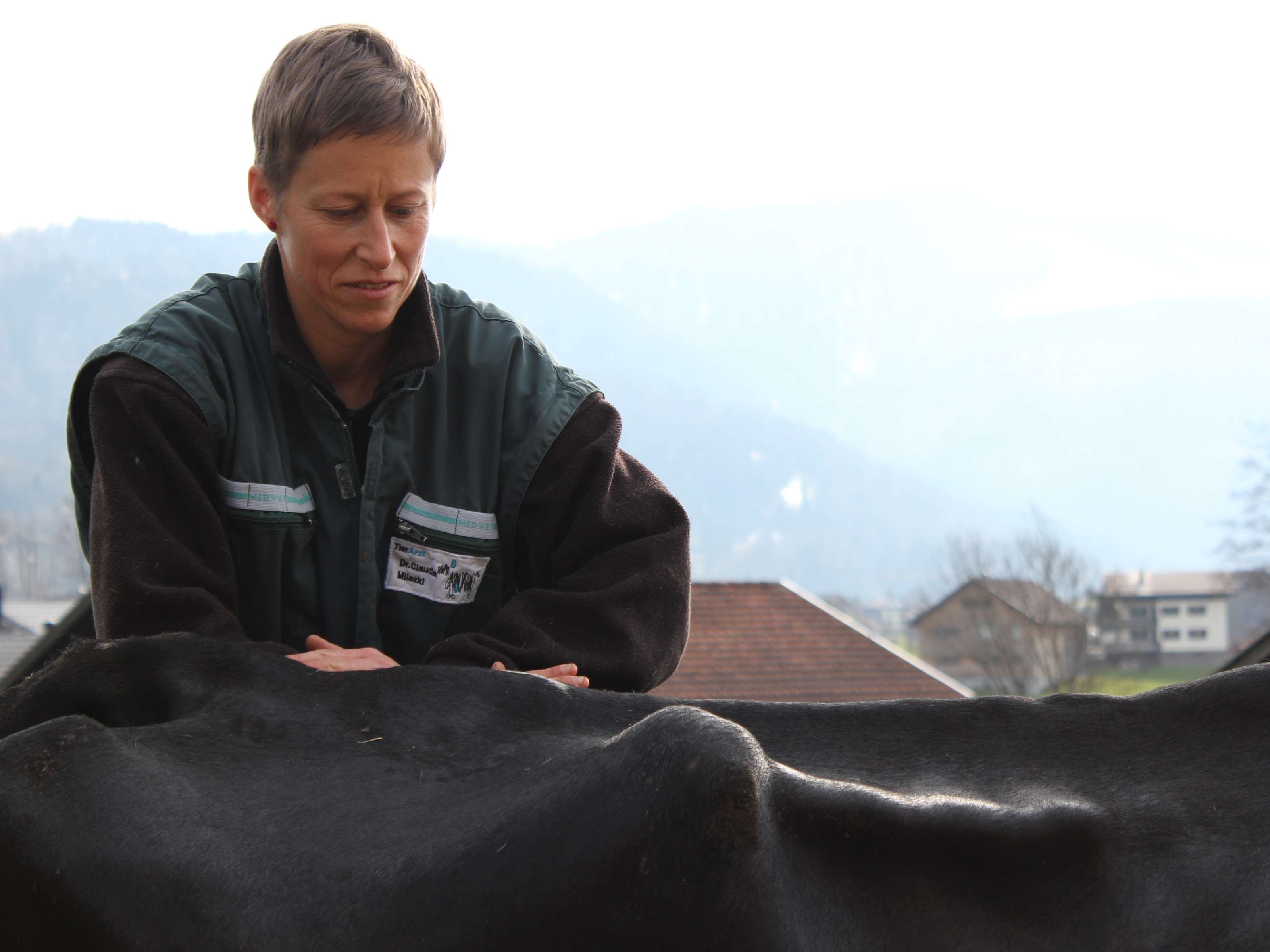 Ansicht 2 von Tierchiro Bregenzerwald