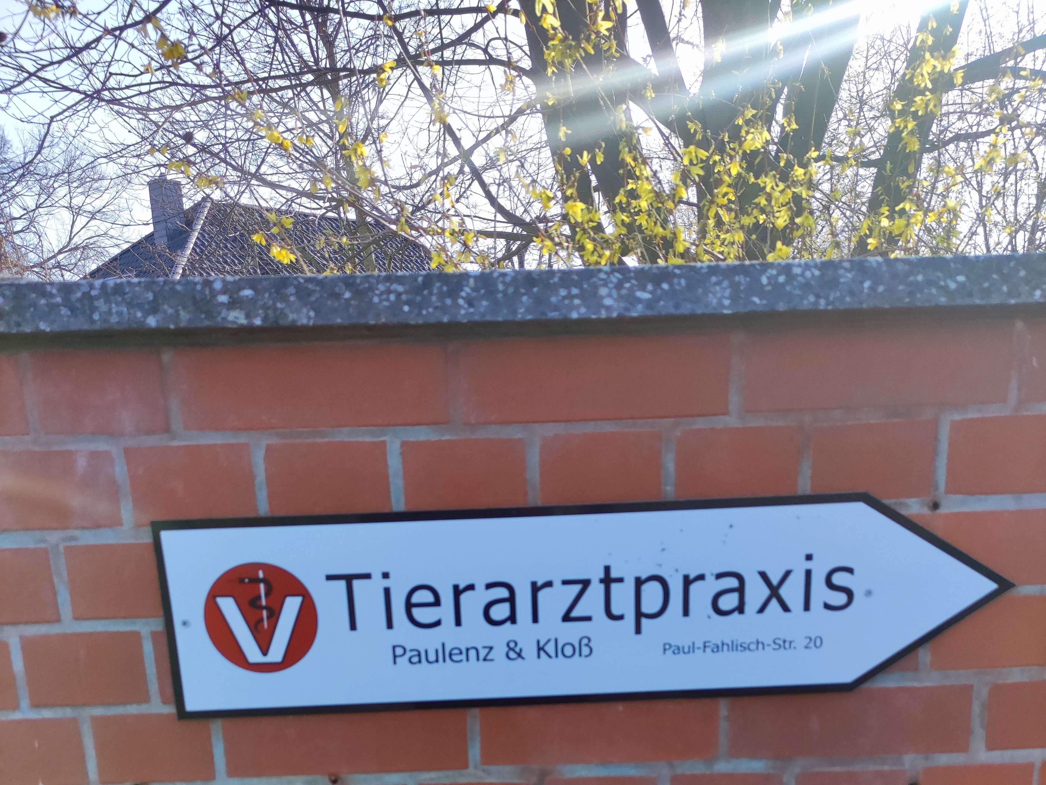 Ansicht 2 von Tierarztpraxis Paulenz / Kloß
