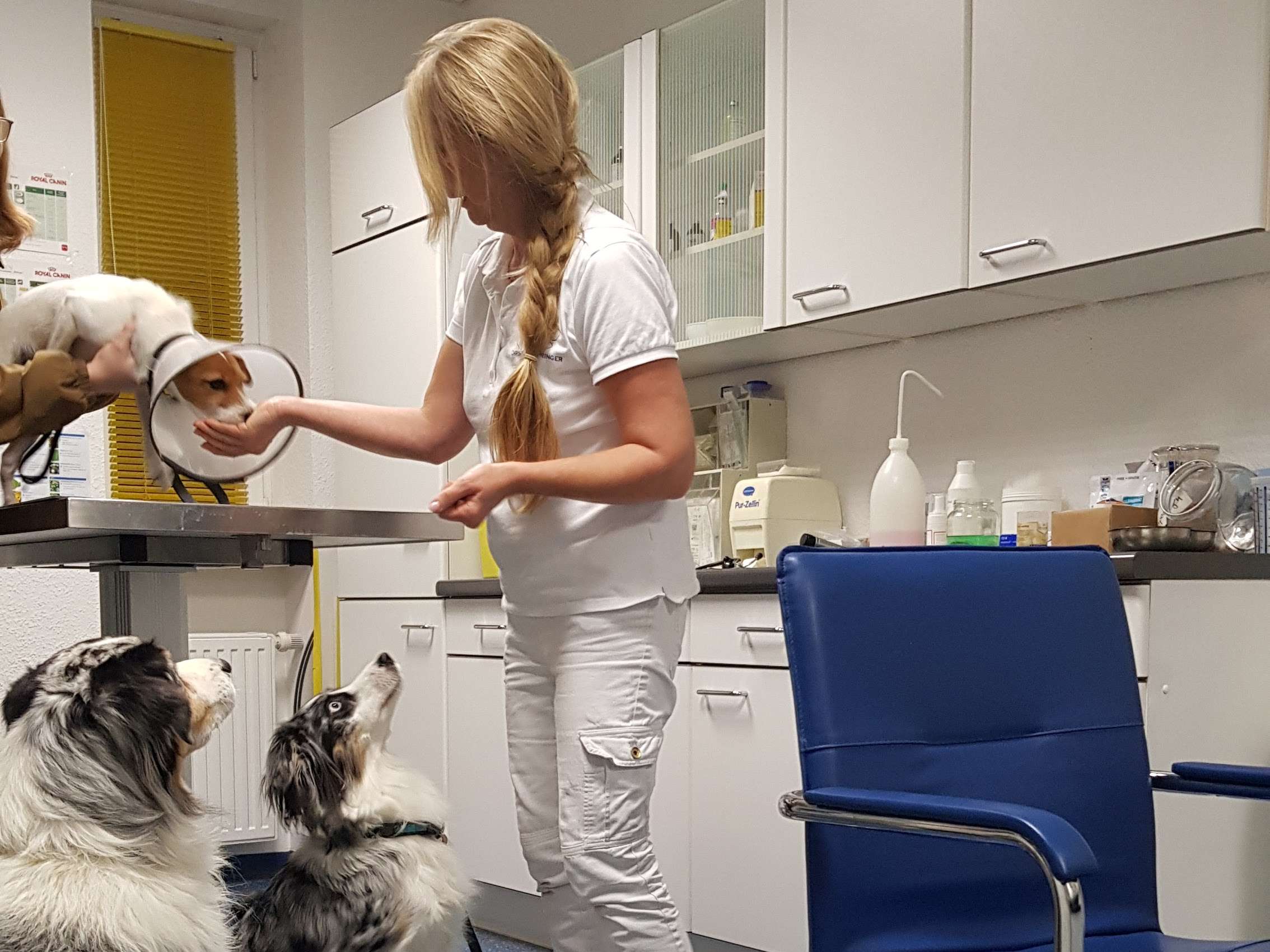 Ansicht 2 von Dr.med.vet. Bärbel Munzlinger Tierärztin