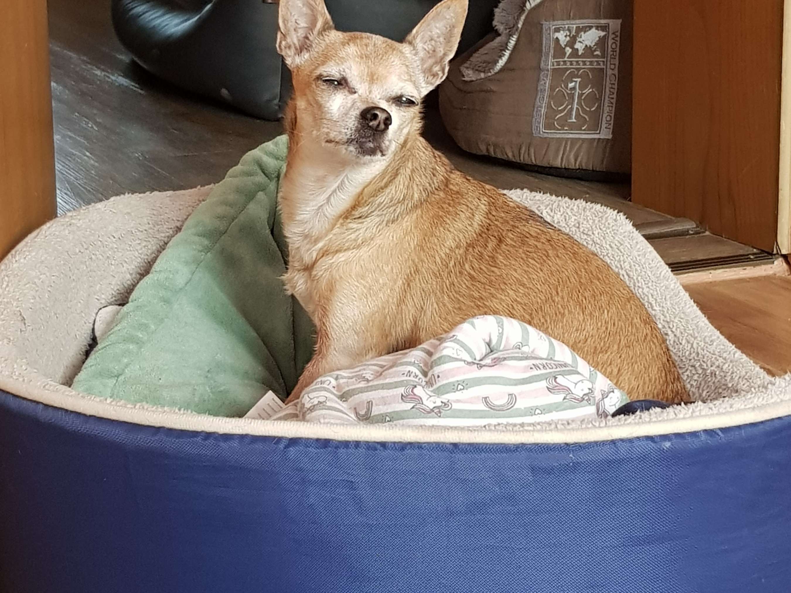 Ansicht 1 von Tierklinik Dr Planner