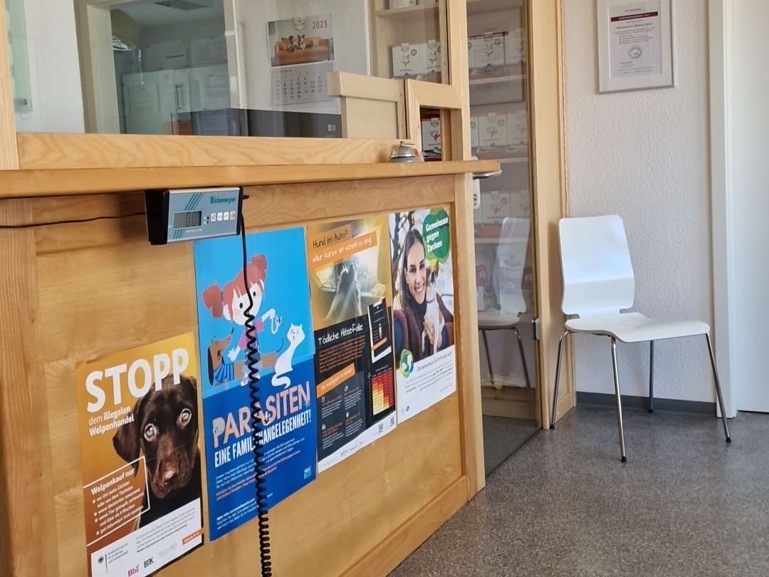 Ansicht 1 von Dipl.med. vet Stephanie Stürmer