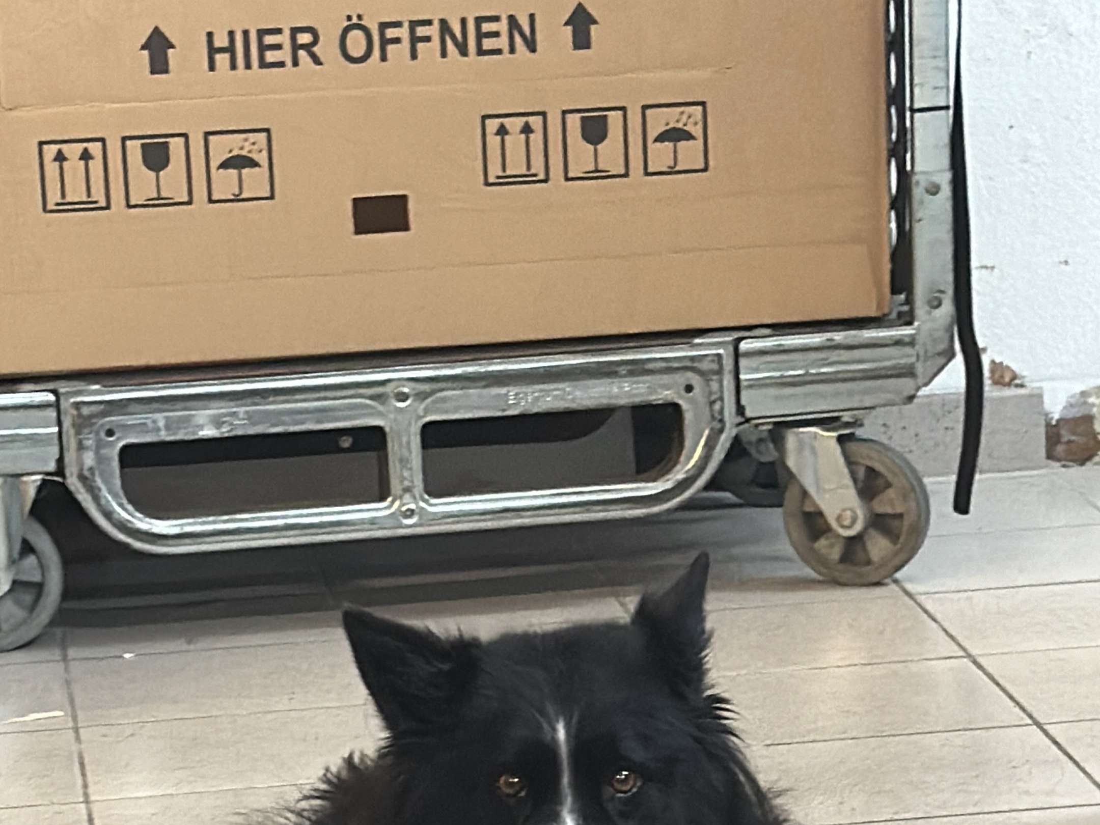 Ansicht 4 von Ursula Hedrich