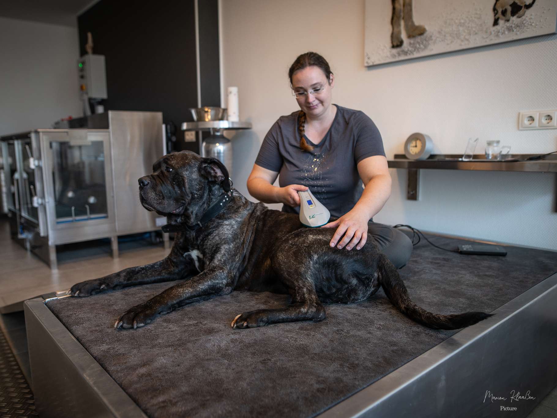 Ansicht 2 von Tierphysiotherapie - und Osteopathie Ninja Herbert-Geng